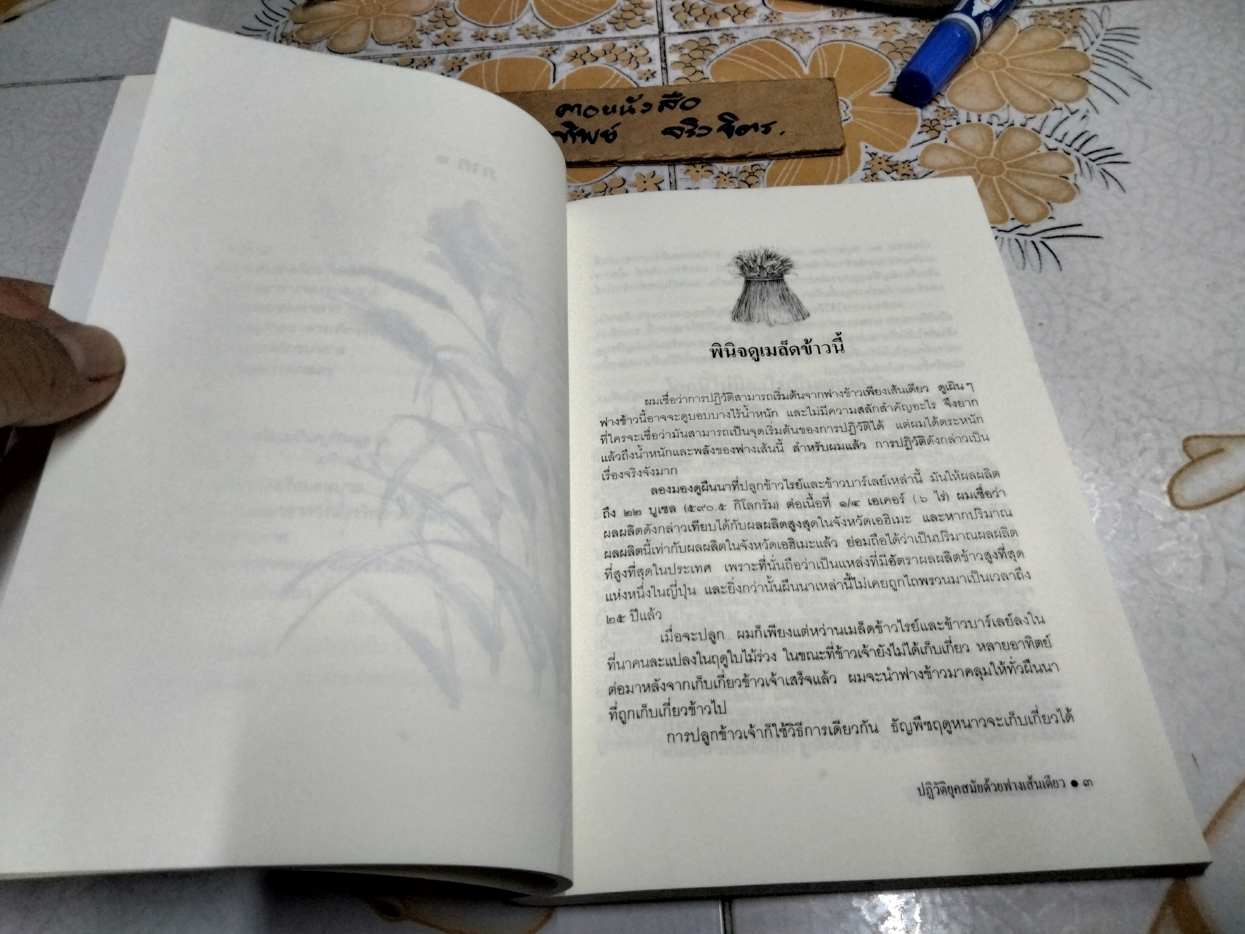 ปฏิวัติยุคสมัยด้วยฟางเส้นเดียว The One - Straw Revolution Masanobu Fukuoka (มาซาโนบุ ฟูกูโอกะ) เขียน **สินค้าหมด**