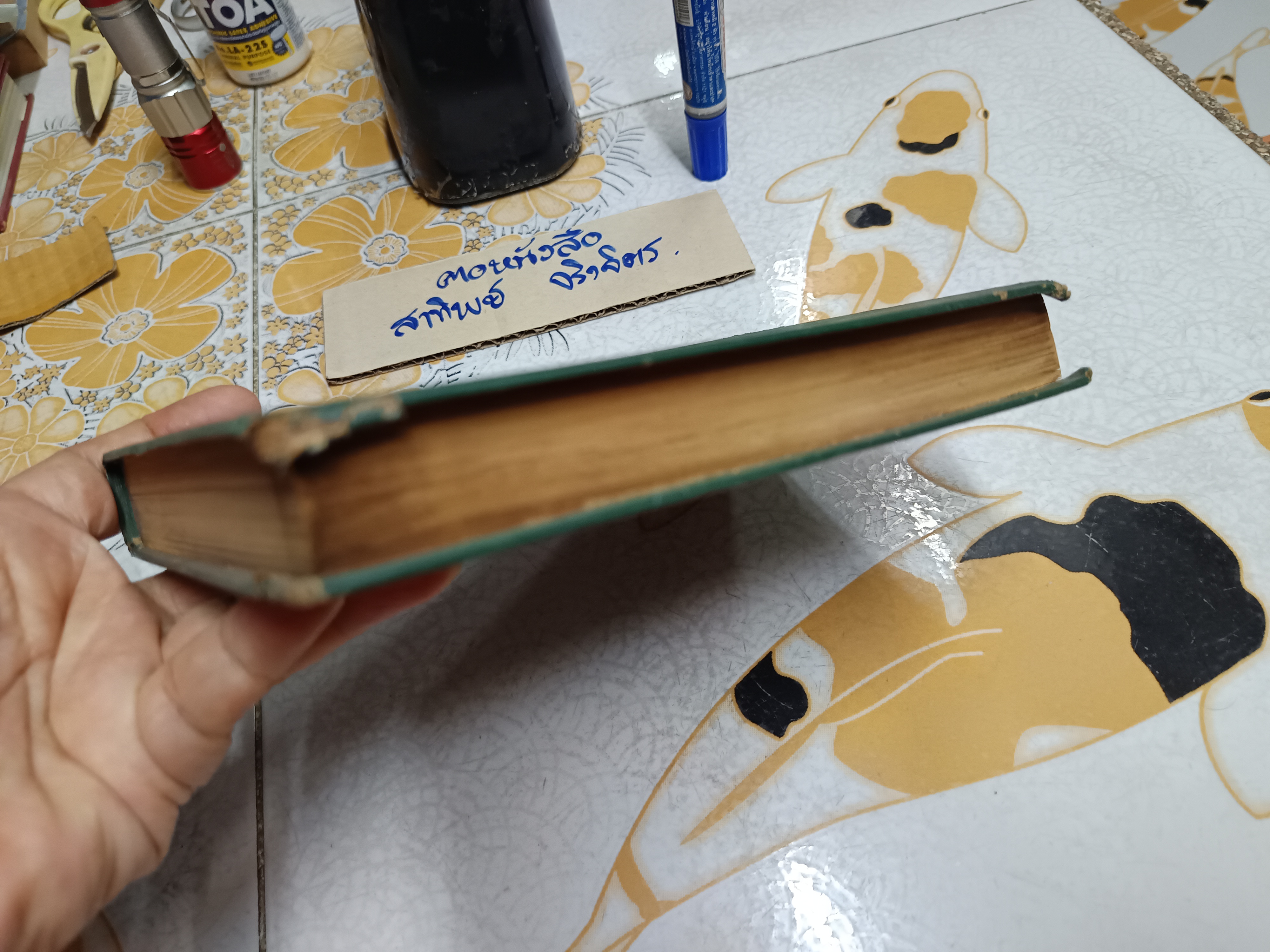 ภัยใต้ภวังค์ เจมส์ แฮดลีย์ เชส เขียน นิดา แปลจาก The Soft Center พิมพ์พ.ศ. 2518 บำรุงสาส์น ** ไม่มีใบหุ้มปก