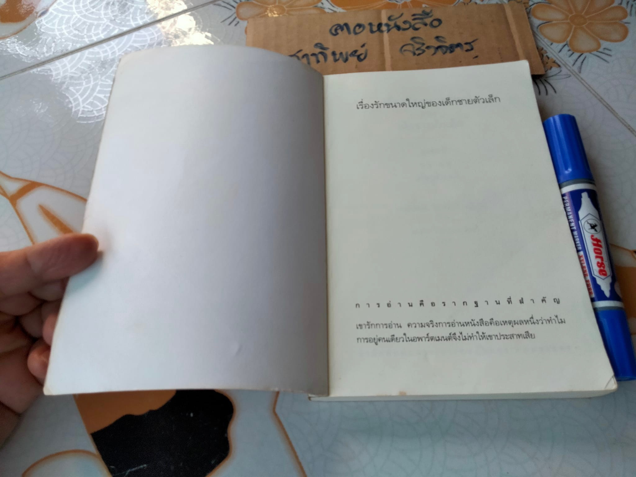 เรื่องรักขนาดใหญ่ของเด็กชายตัวเล็ก