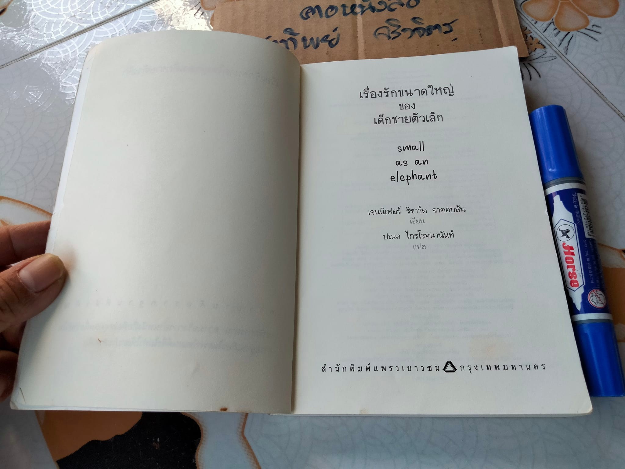 เรื่องรักขนาดใหญ่ของเด็กชายตัวเล็ก