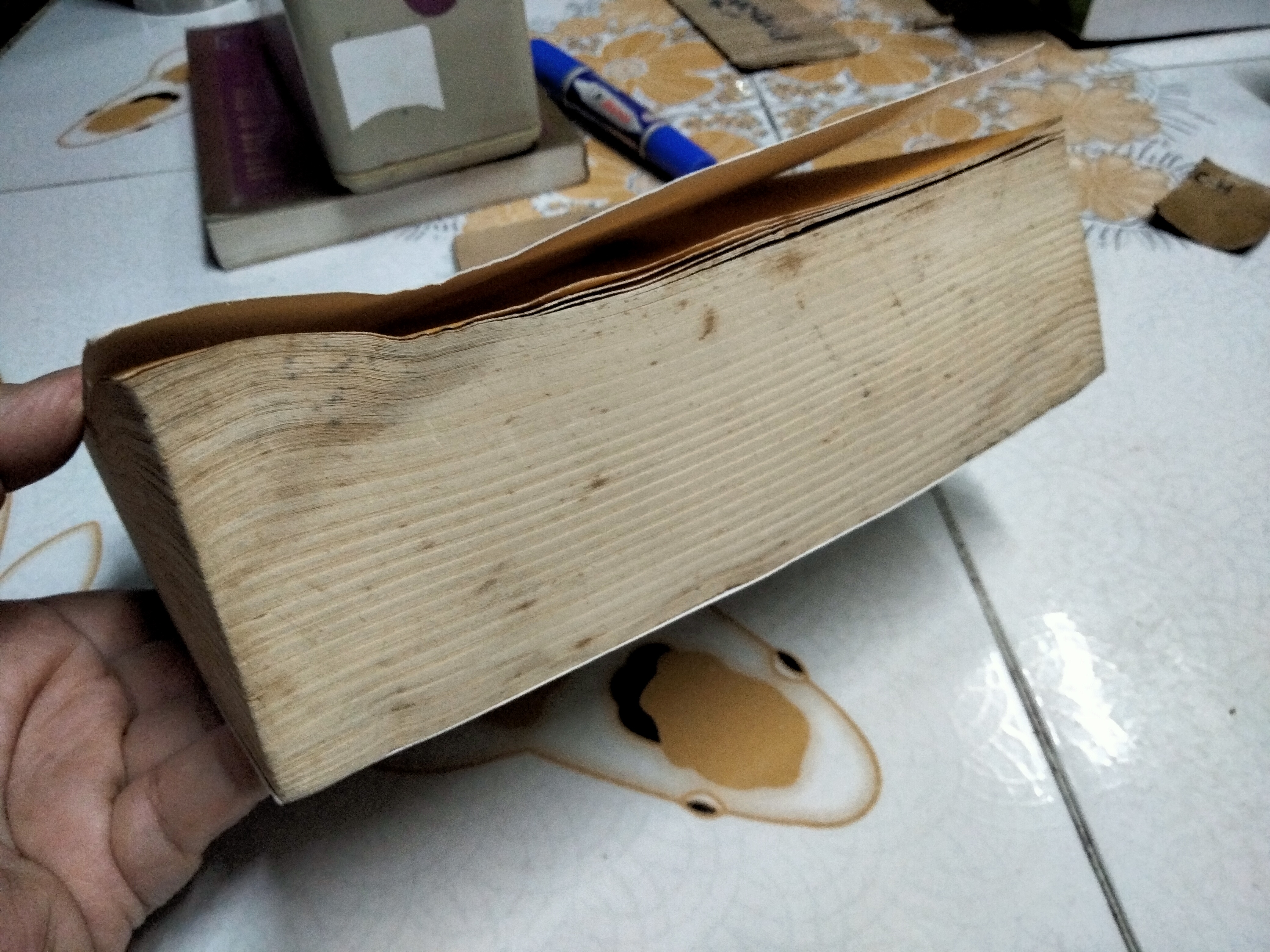 เสือเพลินกรง โดย ผาด พาสิกรณ์ (ลูกชายพนมเทียน) ...นวนิยายเพื่อชีวิตที่ติดบาร์โค้ด! พิมพ์ครั้งแรก พ.ศ 2552 สนพ. คเณศบุรี (หนังสือโดนน้ำ)