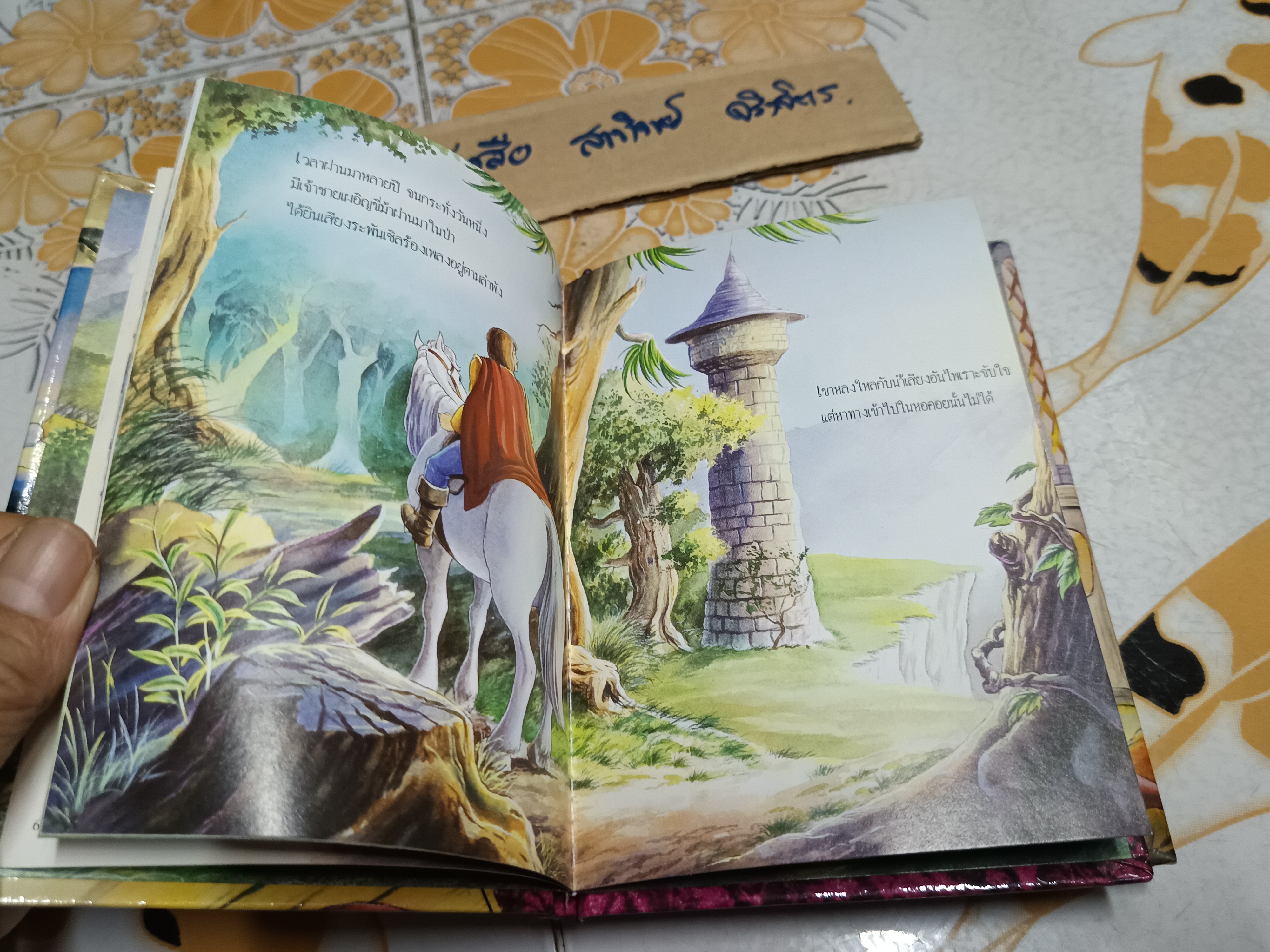 นิทานห้องสมุด ชุดนิทาน กริมม์ส (มี 3 เล่ม / 5 เล่มชุด) ประกอบไปด้วย เจ้าชายกบ, ช่างตัดเสื้อร่างเล็กใจกล้า, ระพันเซล (ติดเทปใสที่ใบรองปก) **สินค้าหมด**