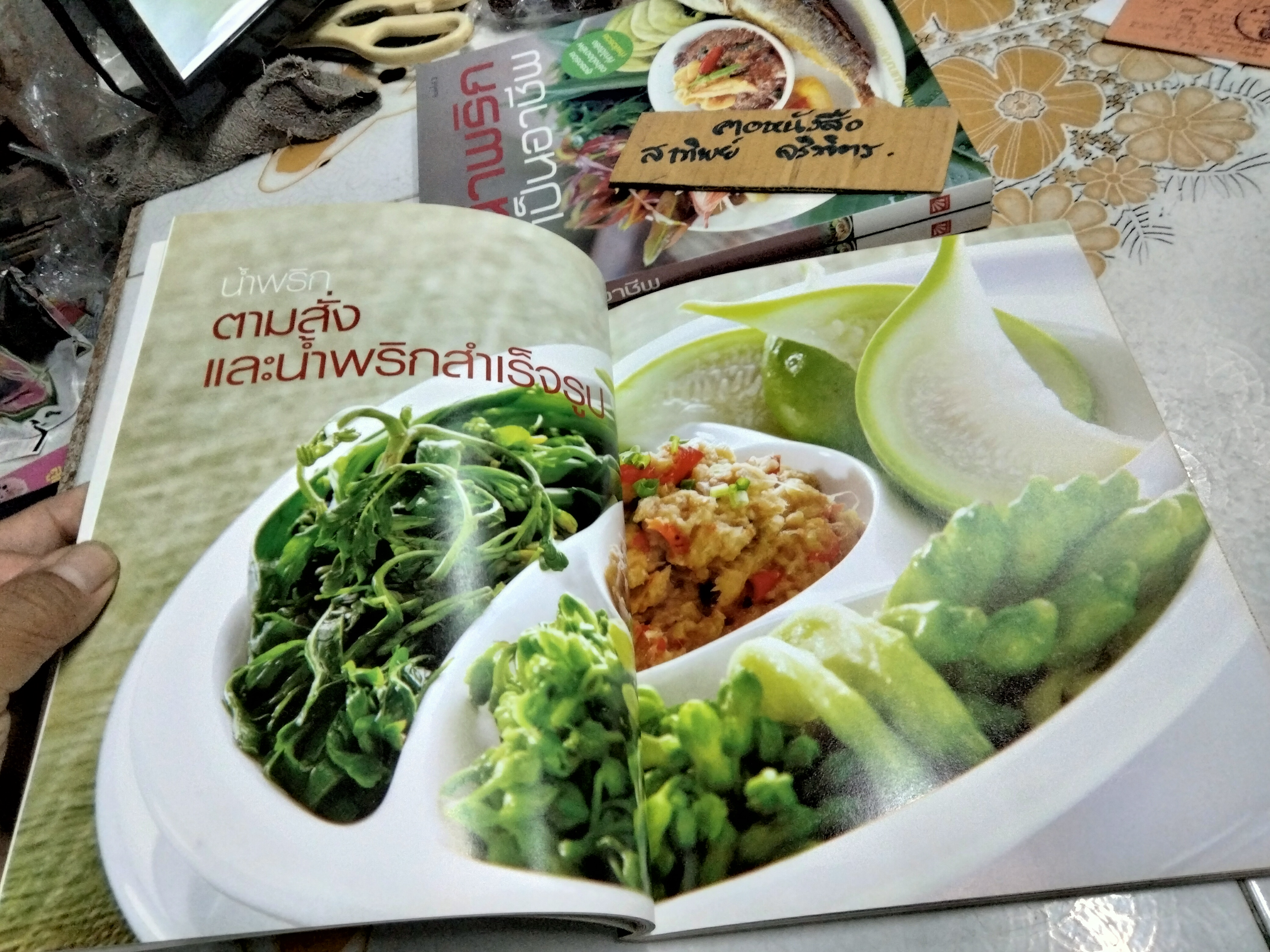 น้ำพริกเป็นอาชีพ สนพ.แสงแดด