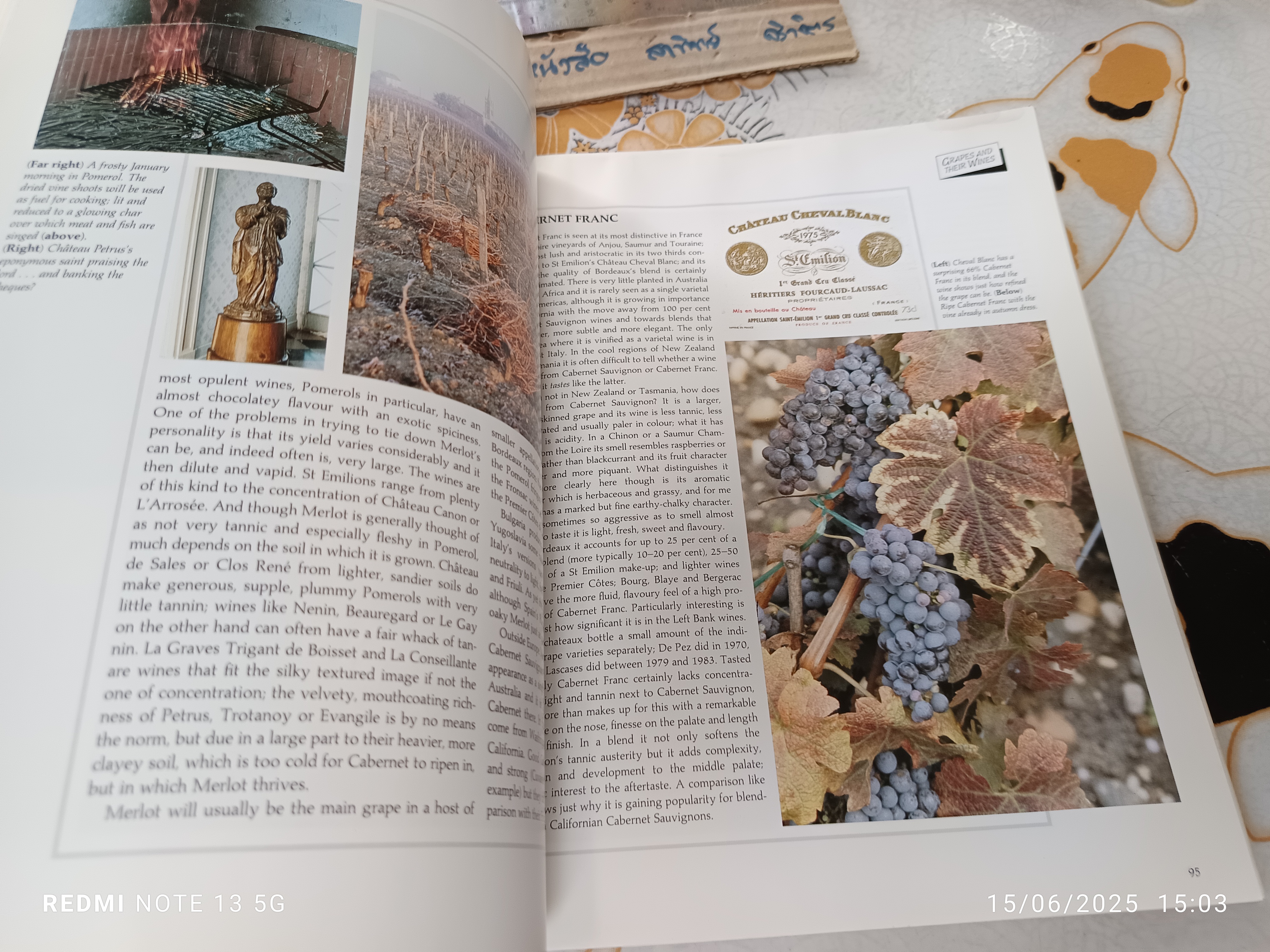 Understanding Wine : A Guide to Winetasting and Wine Appreciation By Michael Schuster