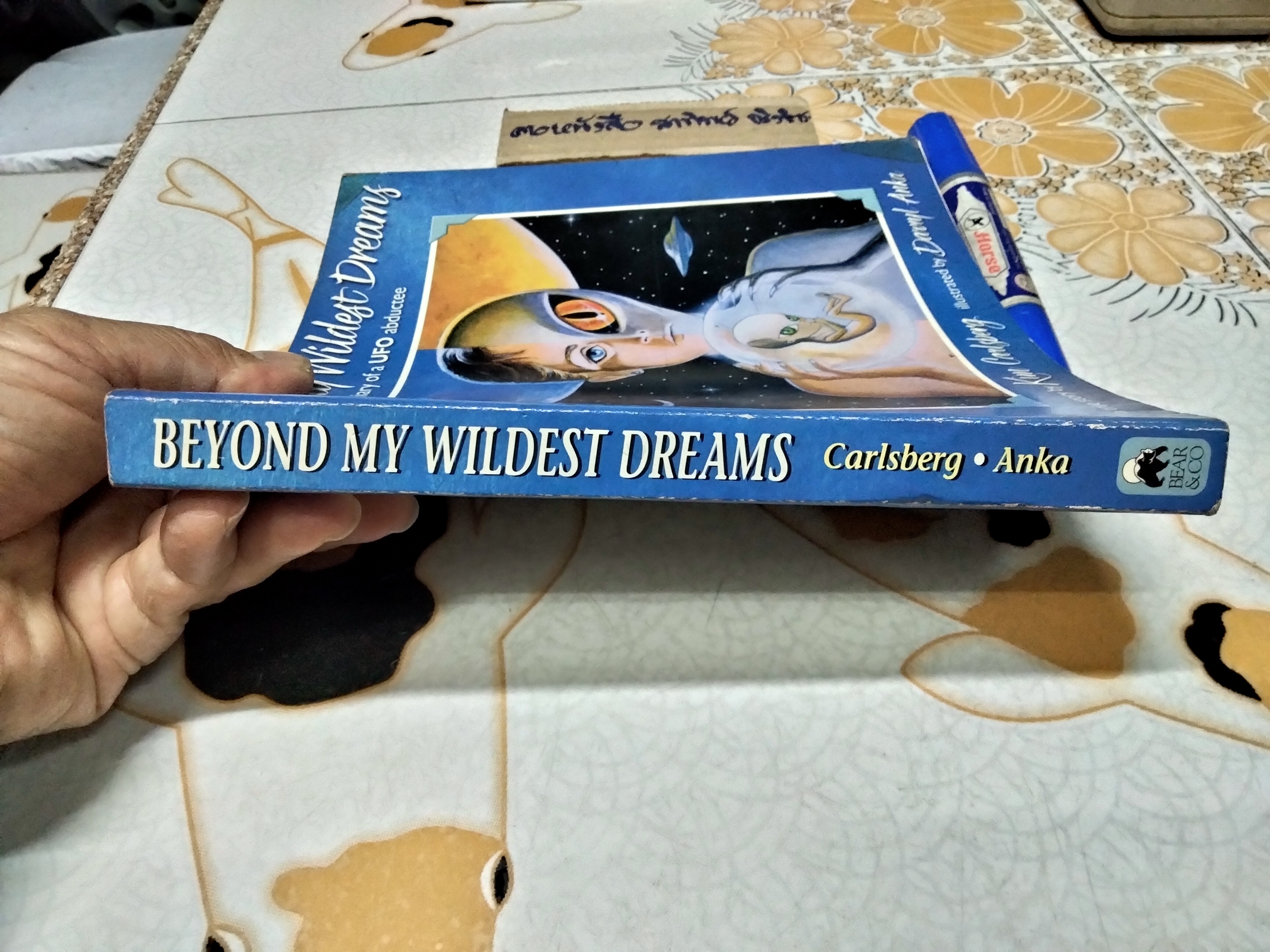 Beyond My Wildest Dreams : Diary of a UFO Abductee Kim Carlsberg , 1995