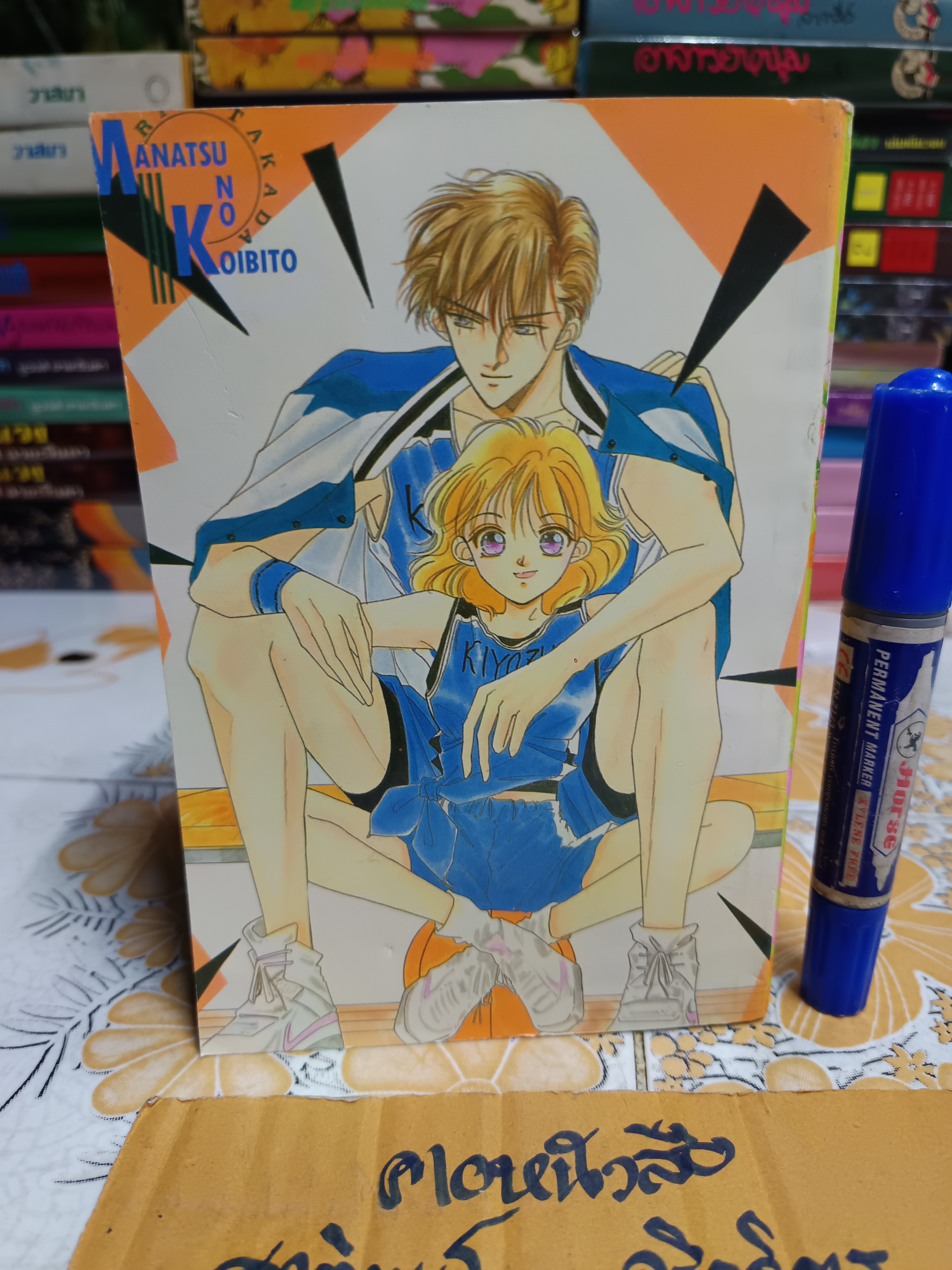 รูปหล่อริมหน้าต่าง (เล่มเดียวจบ) Takada Rie สำนักพิมพ์หมึกจีน