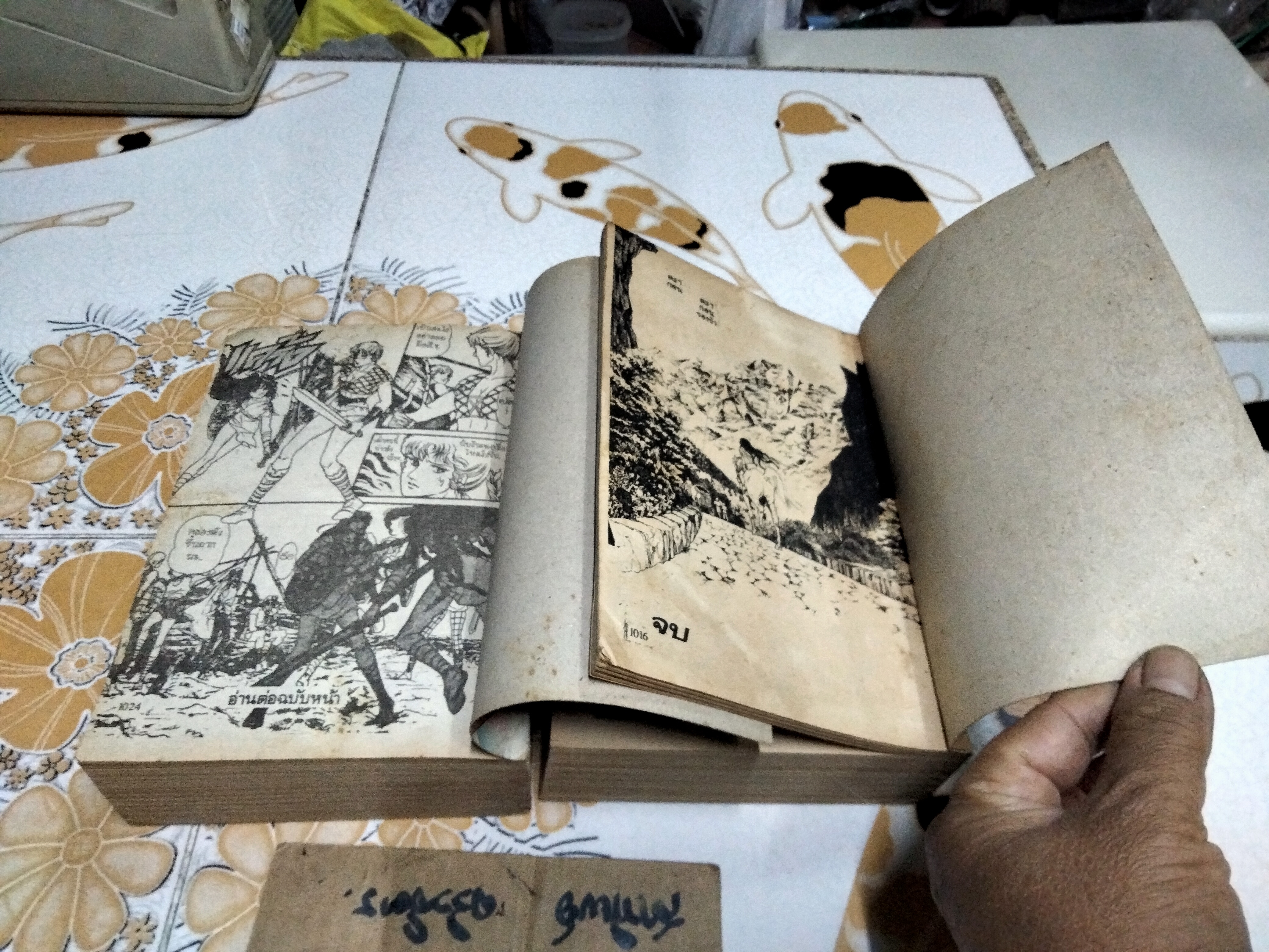 คริสตัลดรากอน 2 เล่มจบ ผลงานของ อาชิเบะ ยูโฮ **สินค้าหมด**