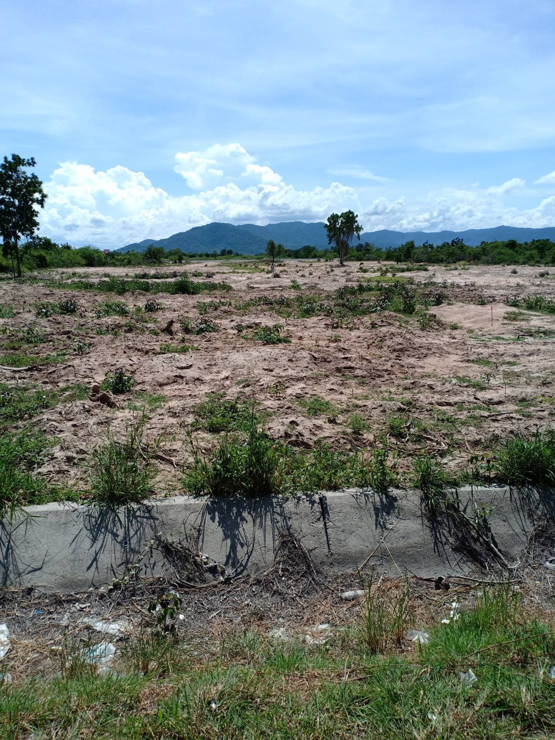 ขายที่ดิน21ไร่ ราคารวม270ล้าน ติดถนนเพชรเกษม ติดกับศาลปกครองเพชรบุรี