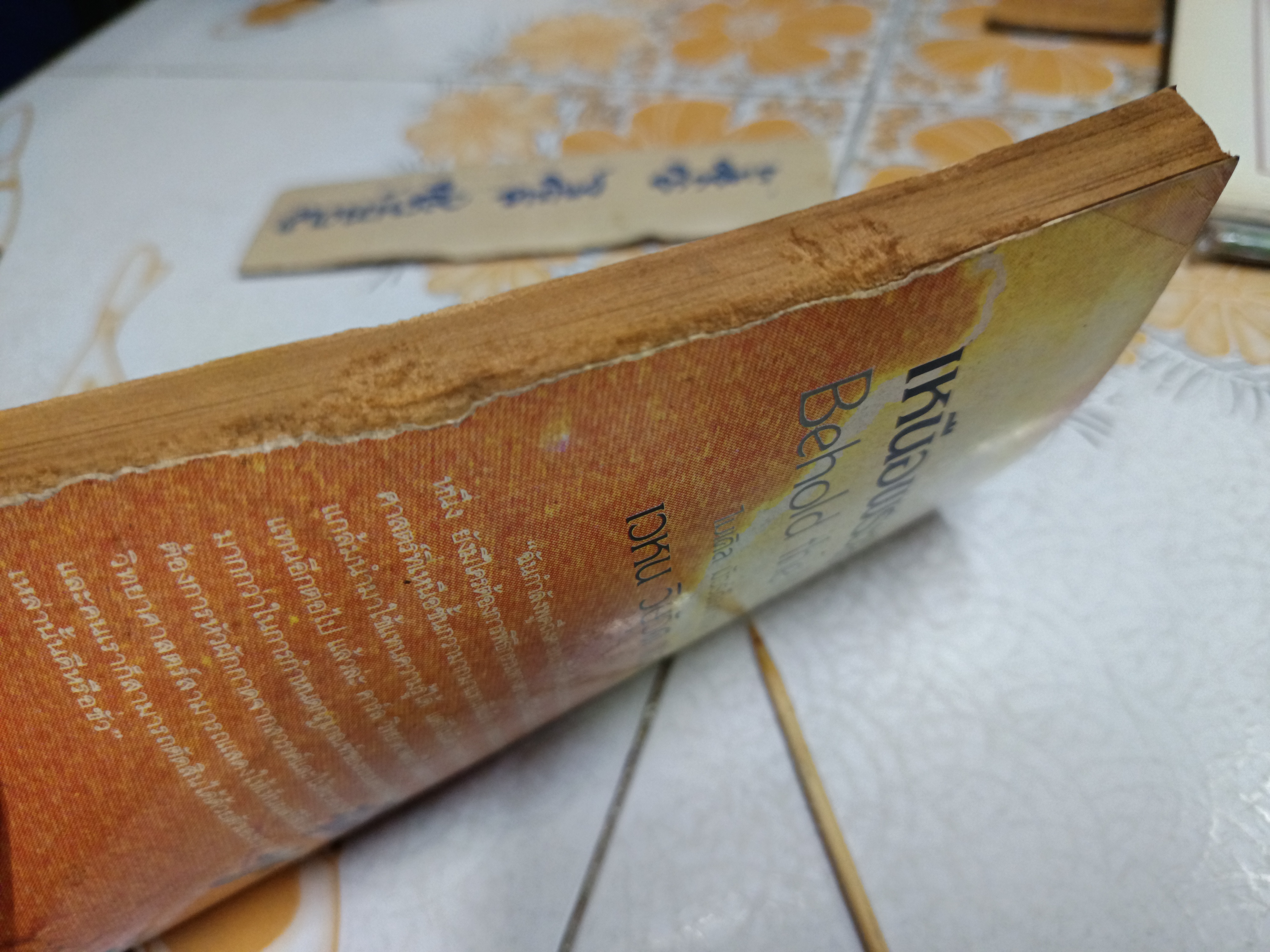 เหนือพระเจ้า จากเรื่อง Behold the Man โดย ไมเคิล มัวร์ค็อค แปลและเรียบเรียง เวหน วิษุวัต (พิมพ์ครั้งแรกพ.ศ 2525) **สินค้าหมด**