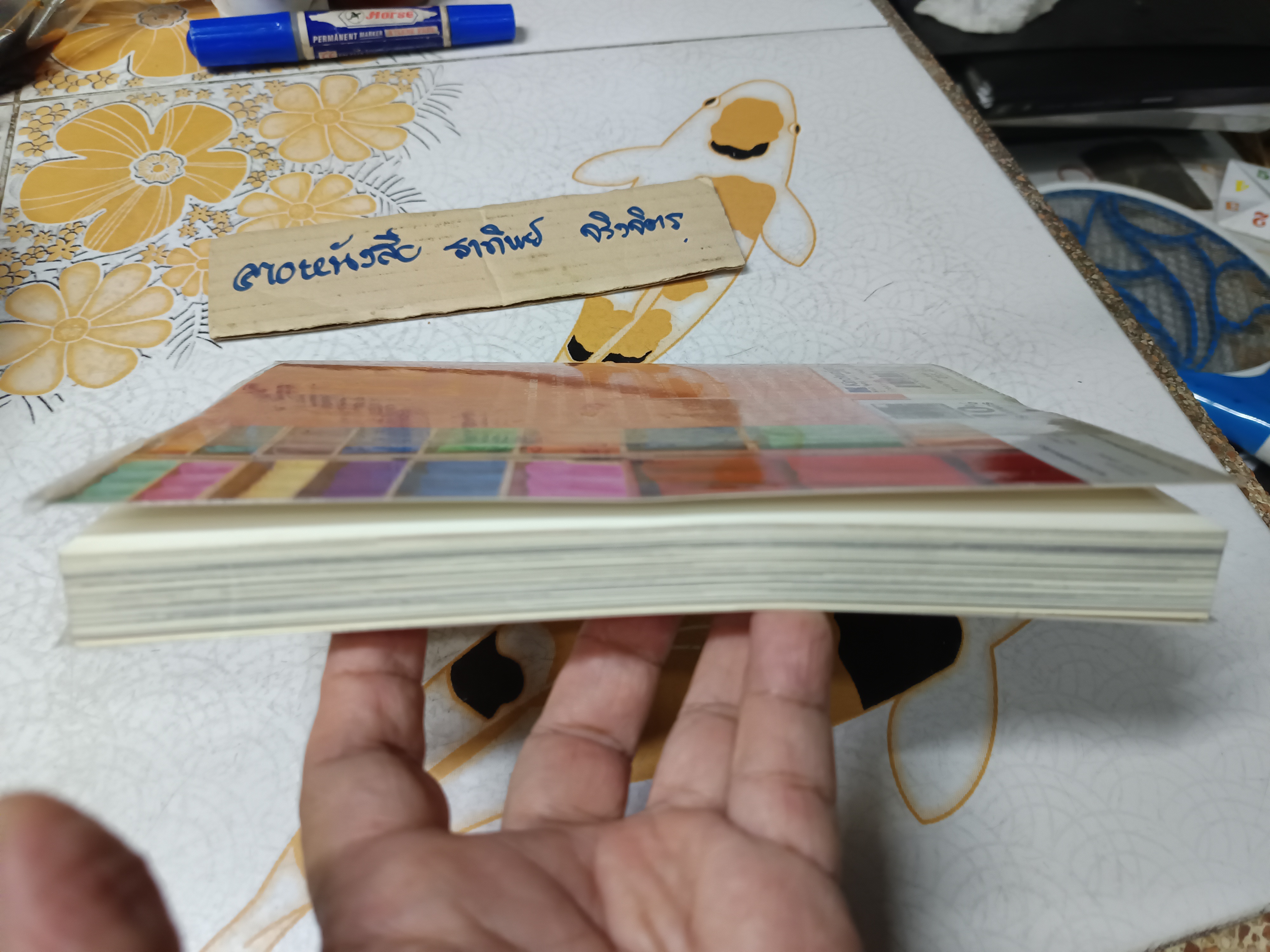 วาดไว้ในเนปาล - พิษณุ ศุภนิมิตร พิมพ์รวมเล่มครั้งแรก มิถุนายน 2550