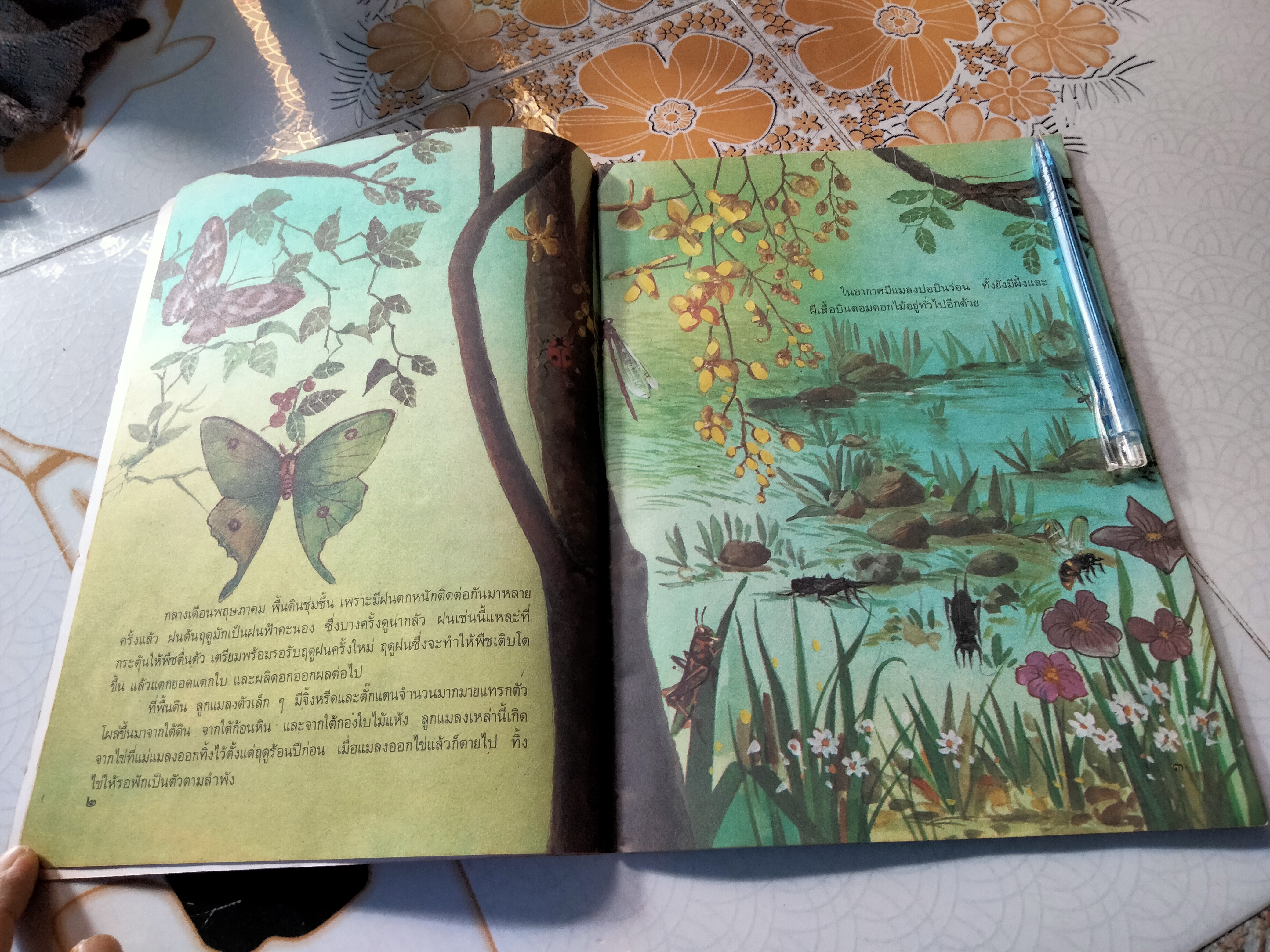 ในสระจ้อย -หนังสือส่งเสริมการอ่านระดับประถมศึกษา โดย กรมวิชาการ กระทรวงศึกษาธิการ **สินค้าหมด**