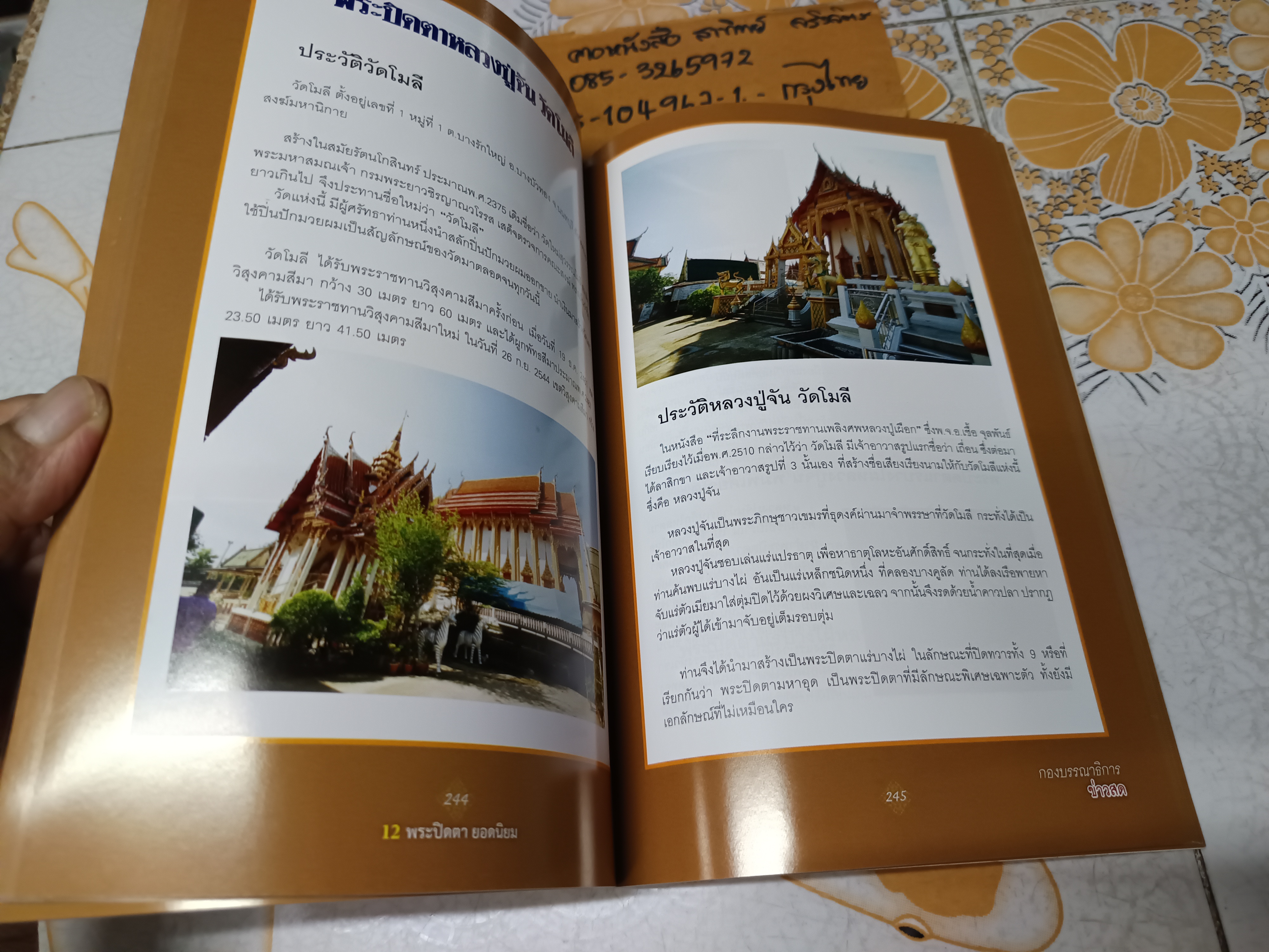 12 พระปิดตายอดนิยม โดย พยัพ คำพันธุ์ - ฐาปกรณ์ ดิษยนันทน์ พิมพ์ครั้งแรก พ.ศ 2557 **สินค้าหมด**