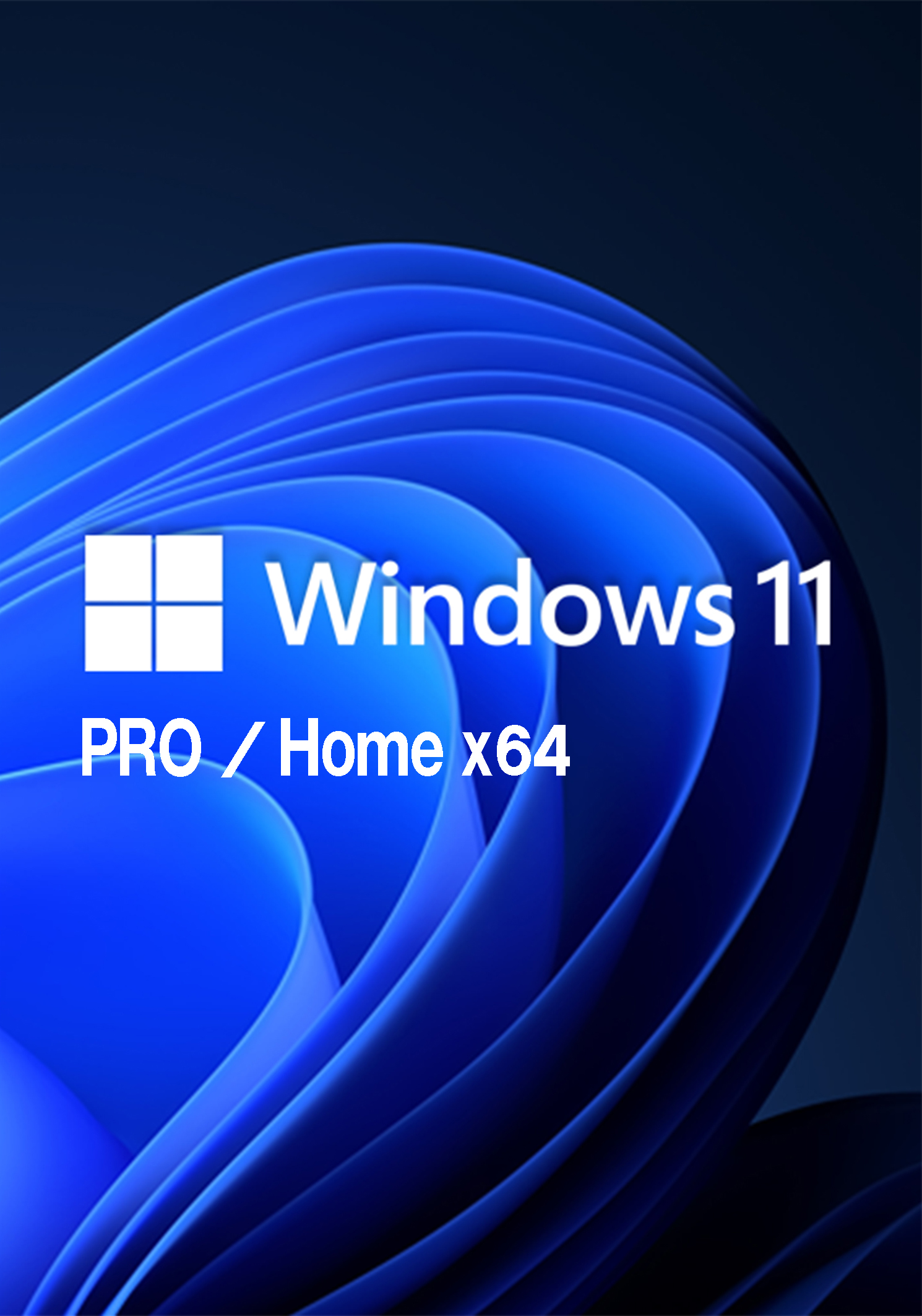 Windows 11 PRO / Home 21H2 x64 ( 1 DVD )