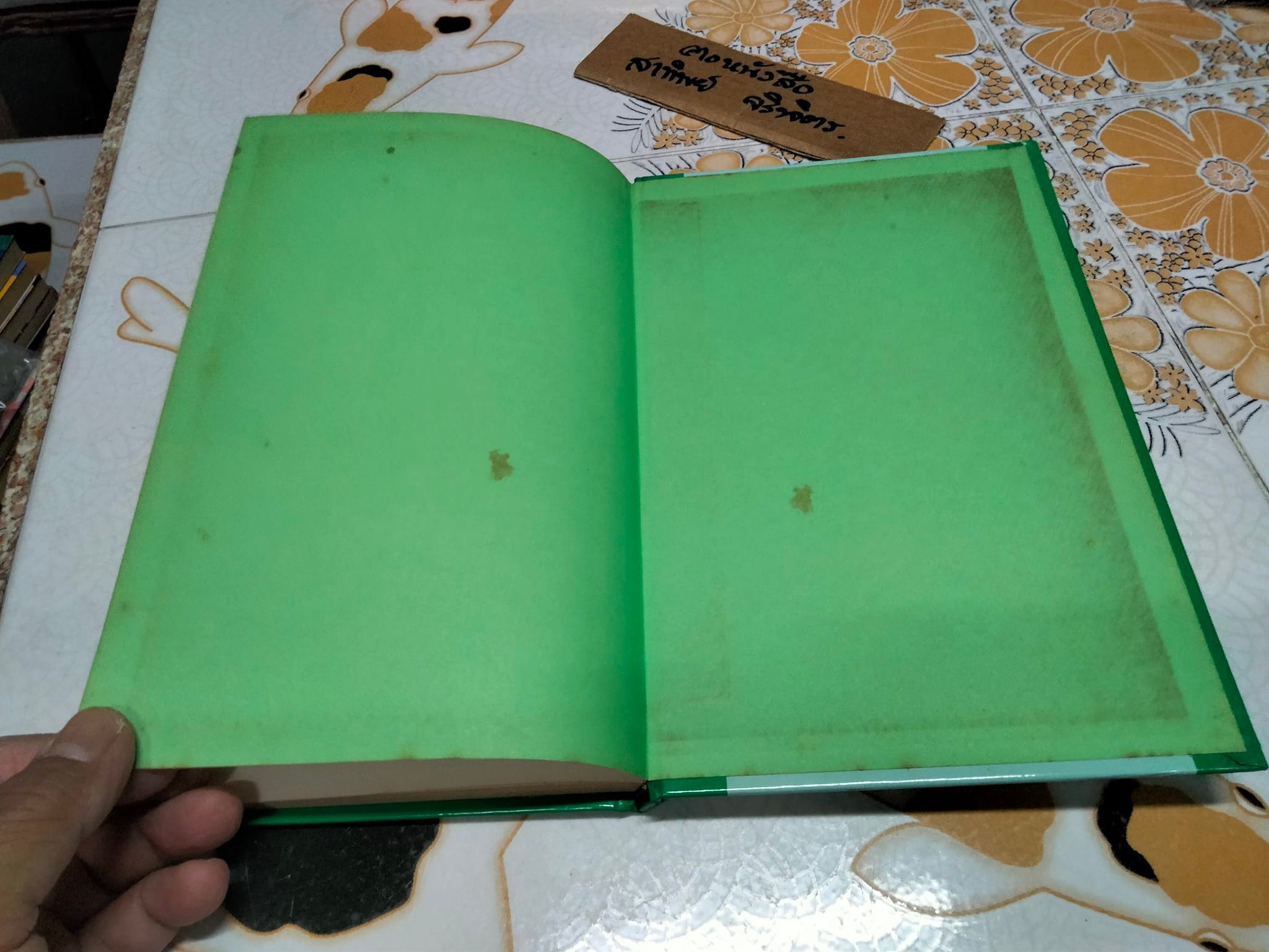 Feng Shui for Business - EVELYN LIP (ฉบับภาษาอังกฤษ) **จองแล้ว**