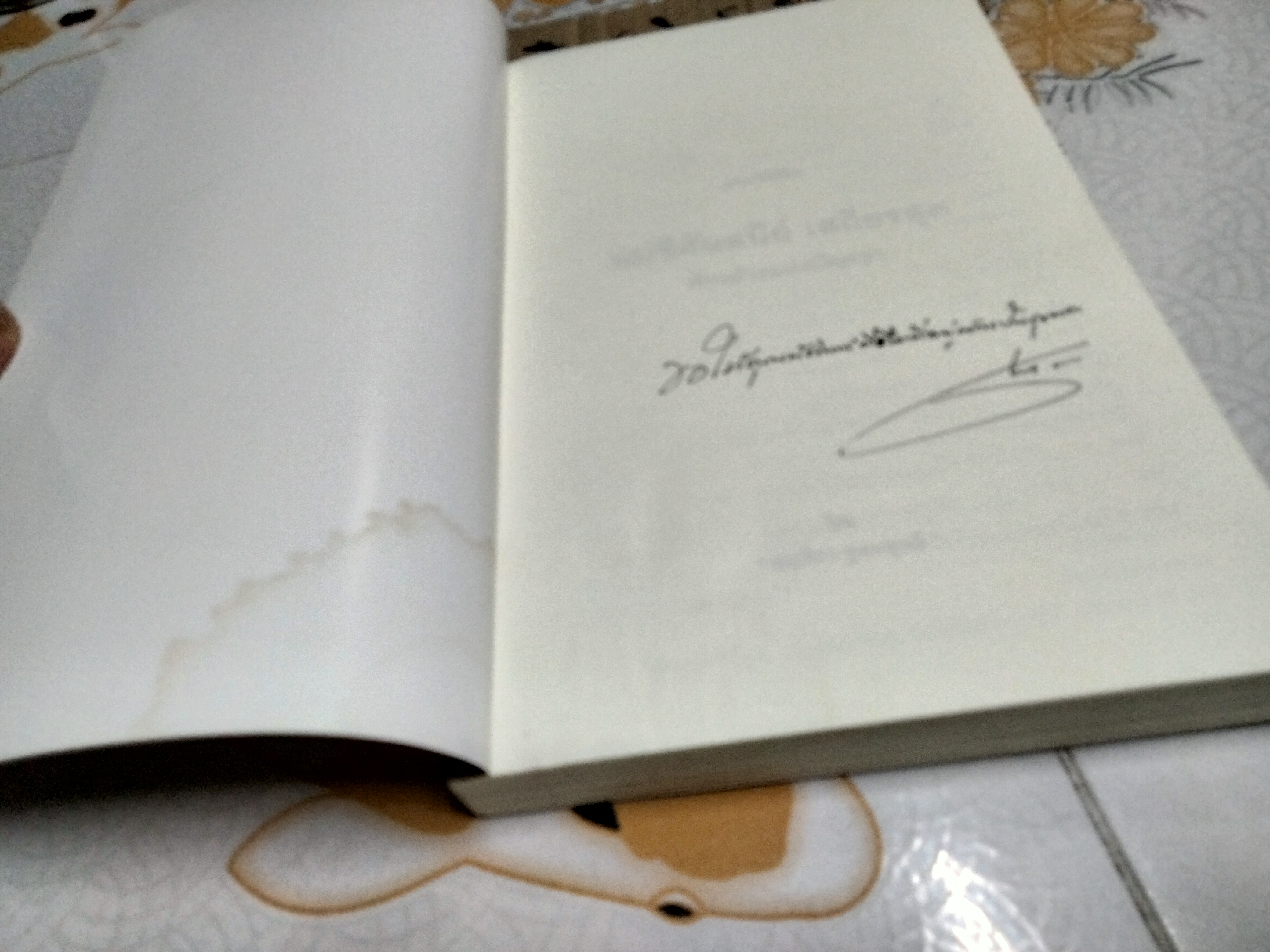 แม่ชีศันสนีย์ เสถียรสุต - ก้าวย่างแห่งปัญญา โดย มนทิรา จูฑะพุทธิ