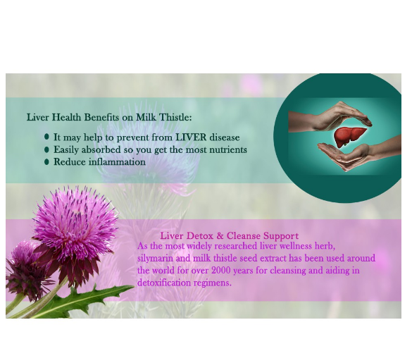Milk Thistle มิลค์ ทิสเซิล 500mg 100 Capsules (Swanson®) บำรุงตับ