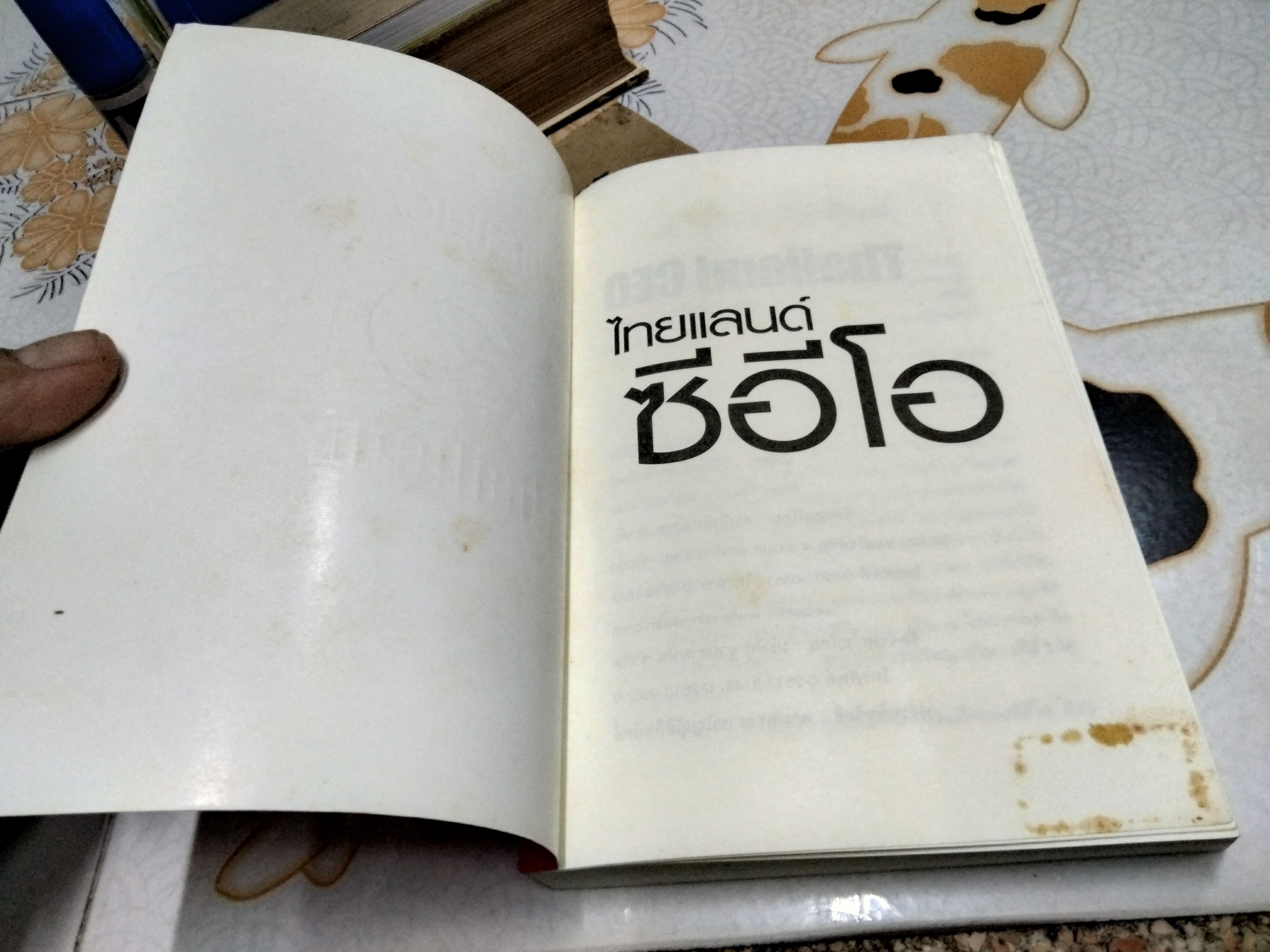 ไทยแลนด์ ซีอีโอ Thailand CEO โดย วิจักษณ์ วรบัณฑิตย์ พิมพ์ปี พ.ศ.2547 **สินค้าหมด**