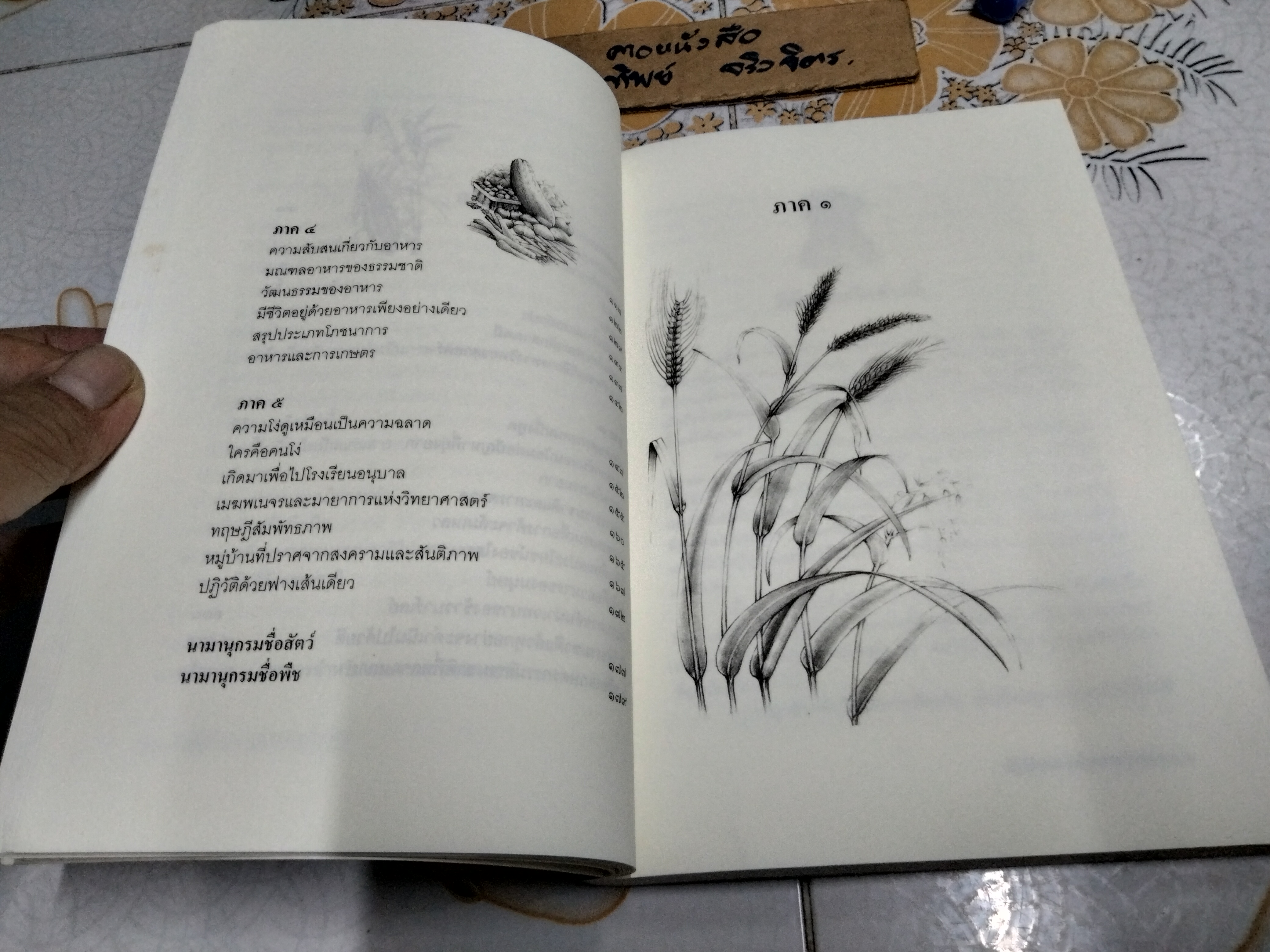 ปฏิวัติยุคสมัยด้วยฟางเส้นเดียว The One - Straw Revolution Masanobu Fukuoka (มาซาโนบุ ฟูกูโอกะ) เขียน **สินค้าหมด**