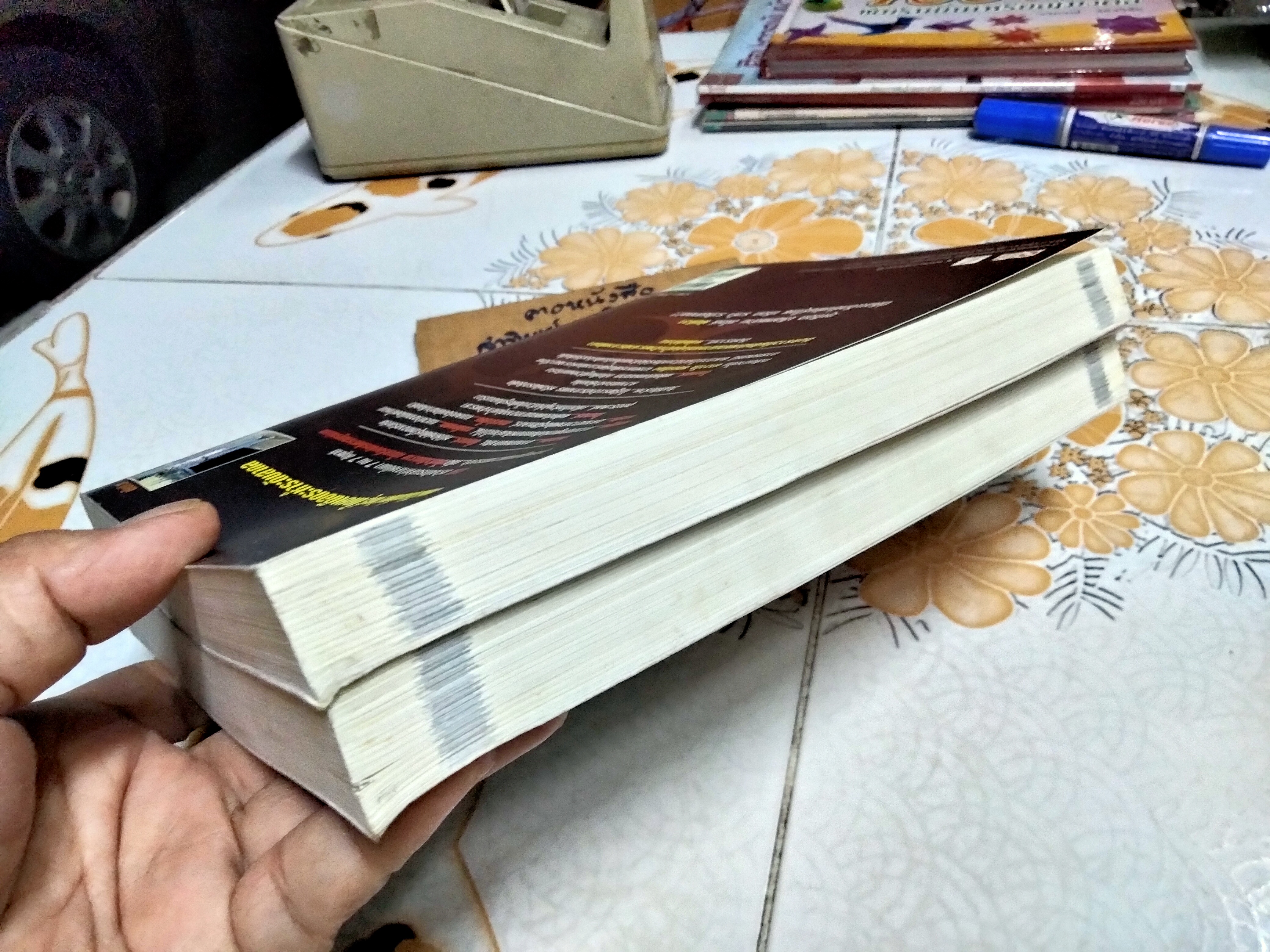 พยัคฆ์คำรน (พยัคฆ์เพชฌฆาตล่าถล่มโลก) 2 เล่มจบ โดย พันทิวา