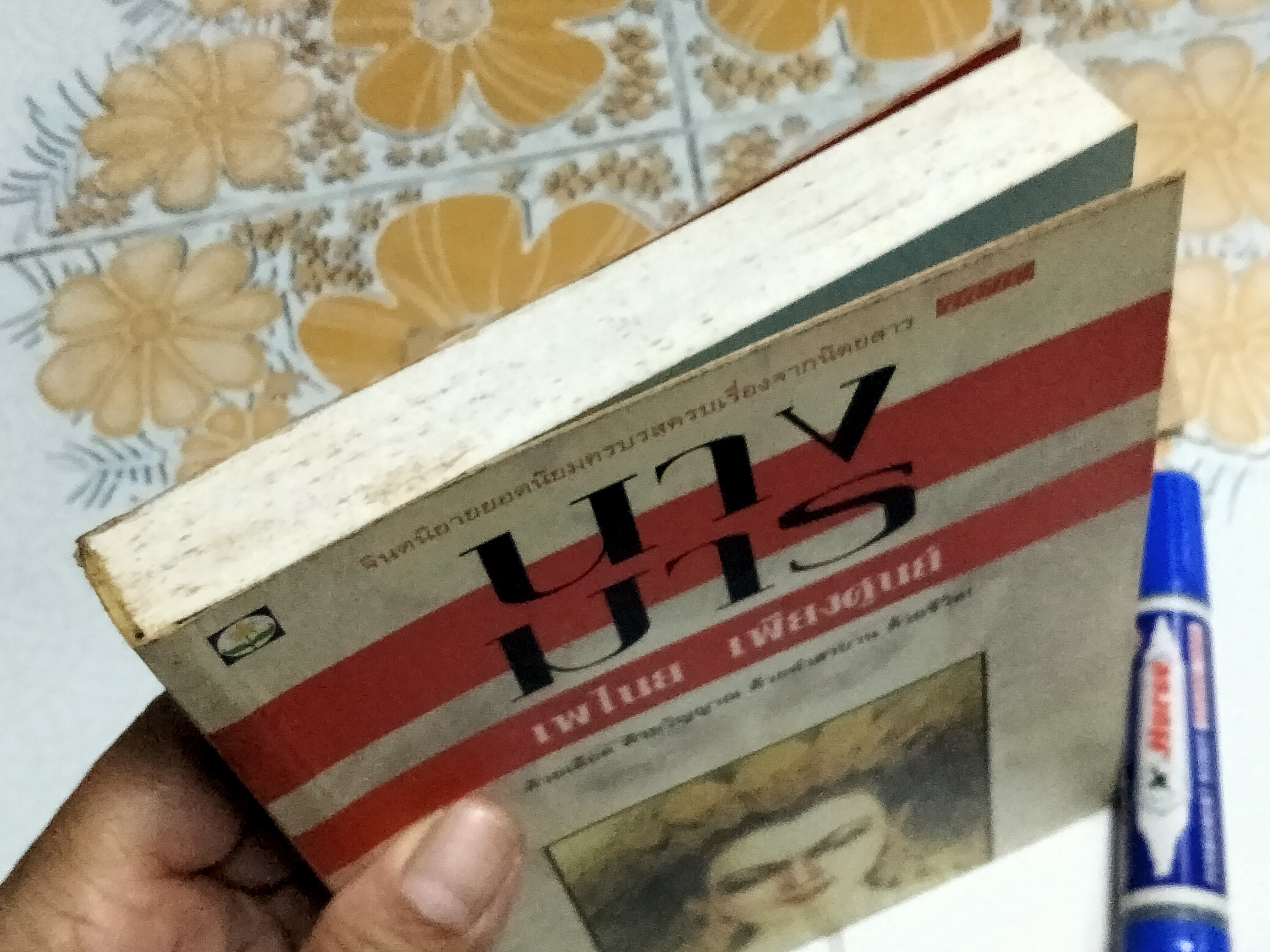 นางมาร (เล่มเดียวจบ) เพไนย เพียงศูนย์