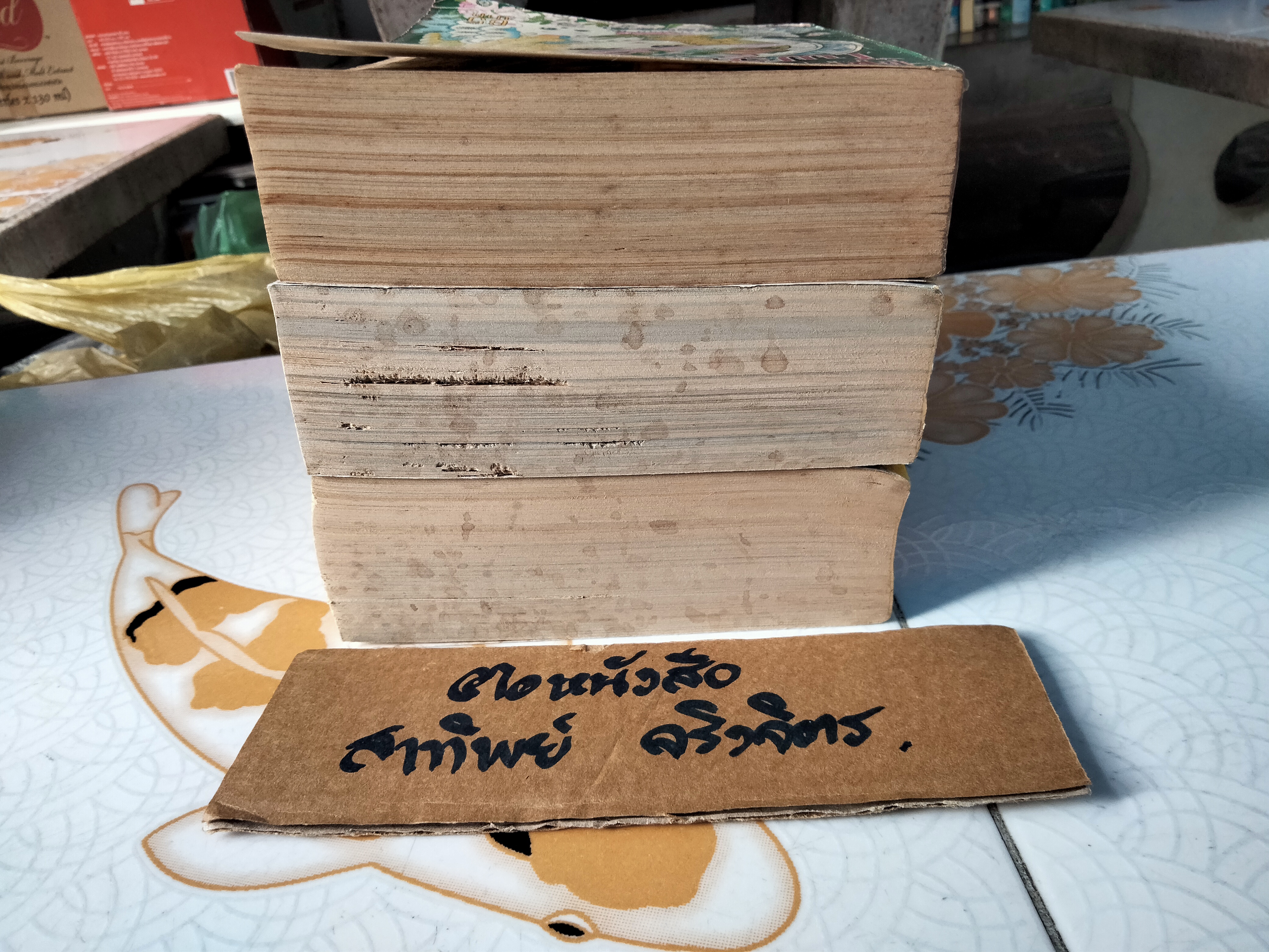 หนังสือการ์ตูน ไฟรักไฟริษยา (3 เล่มจบ) - ชิเอโกะ โฮโซกาว่า (ผู้เขียนคำสาปฟาโรห์) **สินค้าหมด**