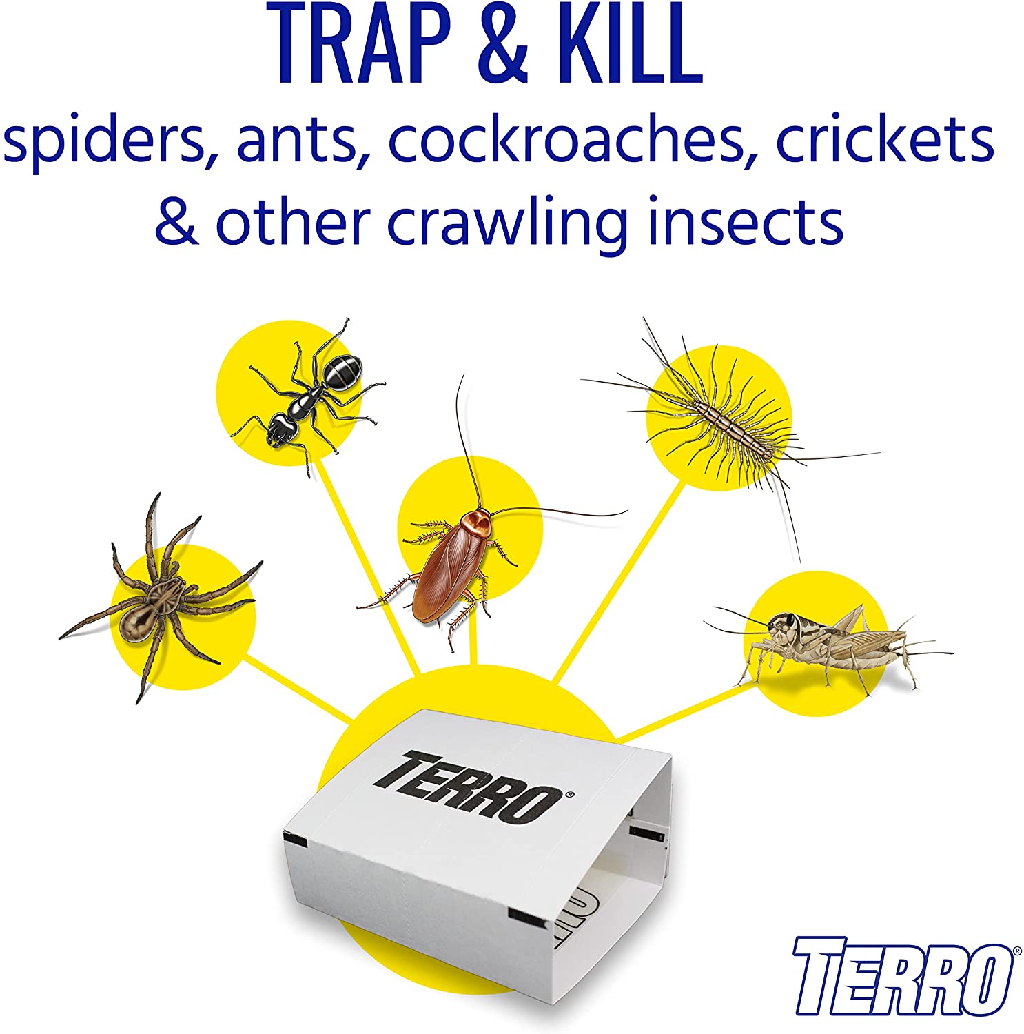 TERRO® 10.16 cm x 25.4 cm Spider & Insect Traps 4 Glue Traps Model T3206 กับดักแมงมุม และแมลง ขนาด