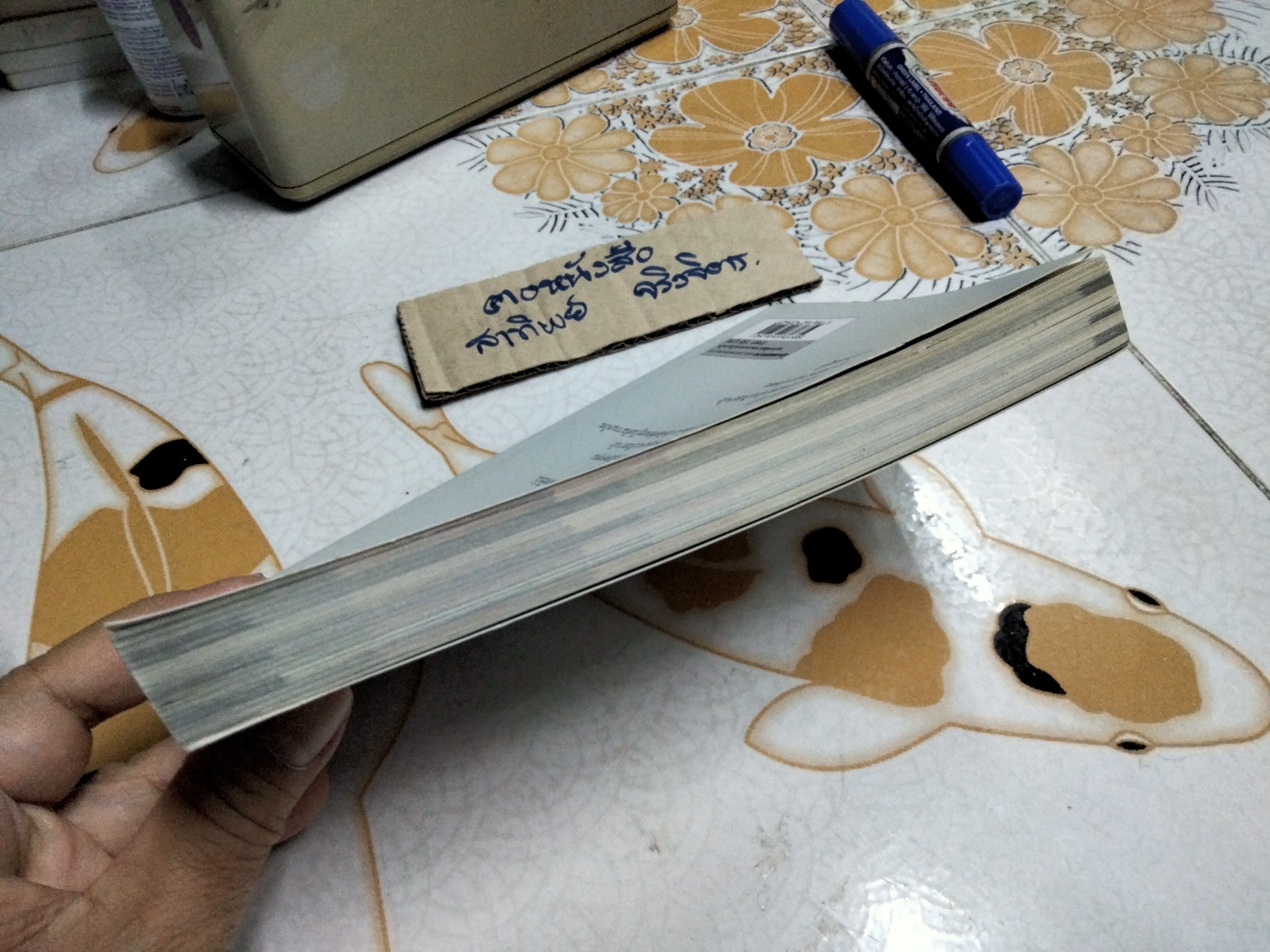 61 คำถาม สแกนนิสัย (ที่ไม่มีใครบอกคุณ) โดย Josuke Nakagawa - กิ่งดาว ไตรยสุนันท์ แปล พิมพ์ครั้งที่ 9/2561