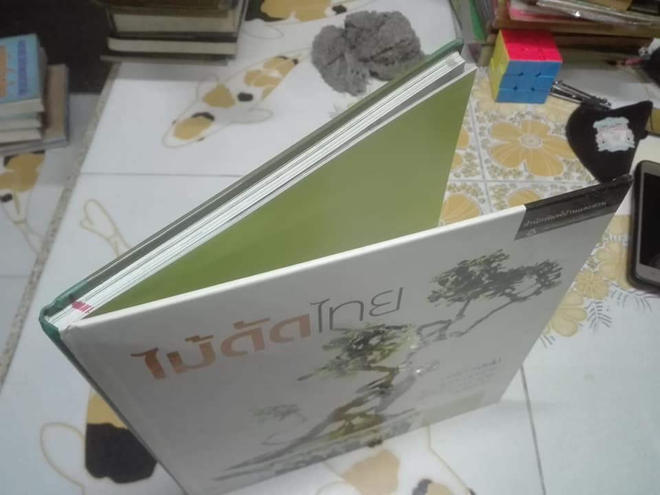 ไม้ดัดไทย (ปกแข็ง) โดย บัญชา เขมธร - ภูวดล น้ำดอกไม้ (มือหนึ่ง ในซีล) **สินค้าหมด**