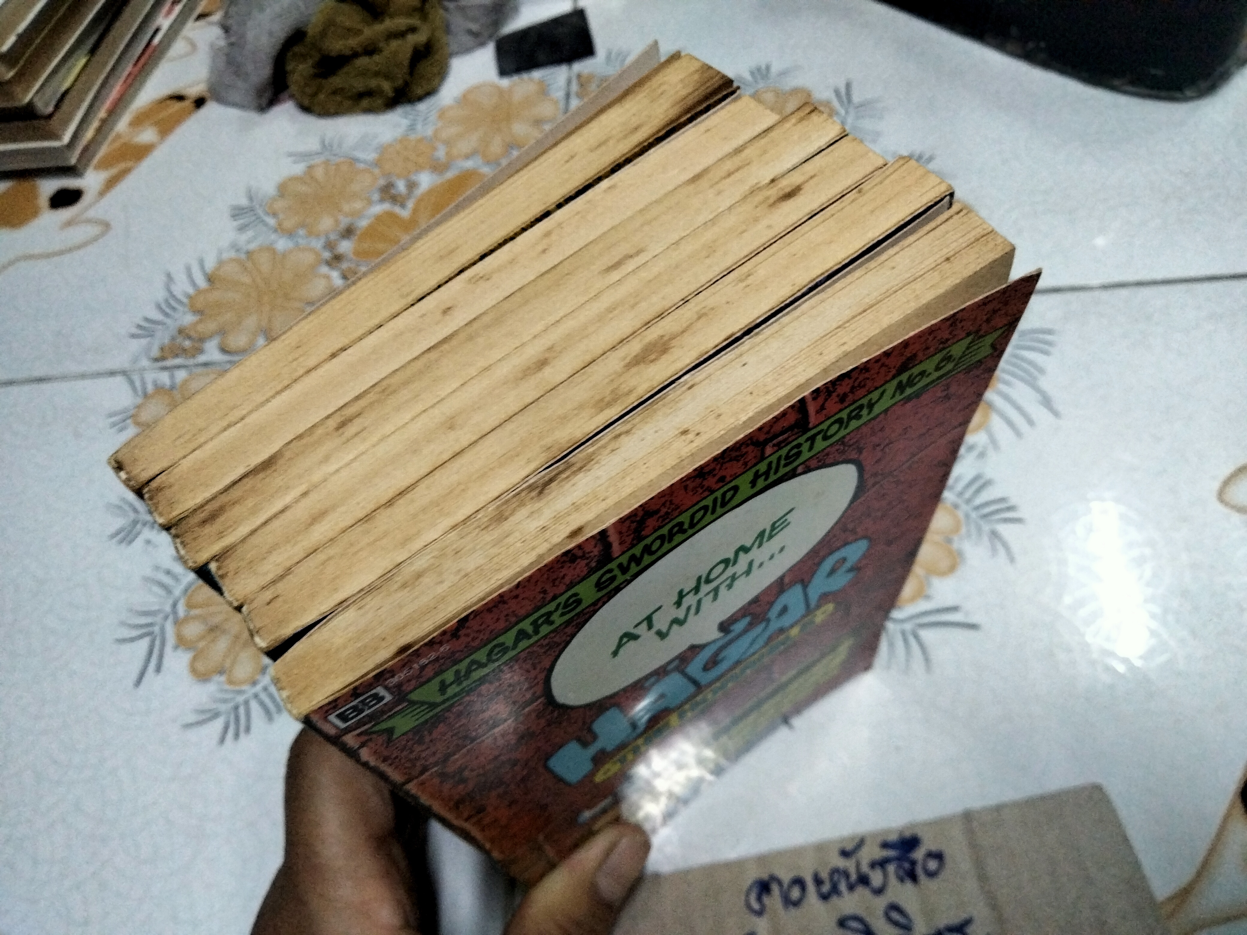 Hägar the Horrible (Hagar's Swordid History No.1- 6) - ขายรวม 6 เล่ม