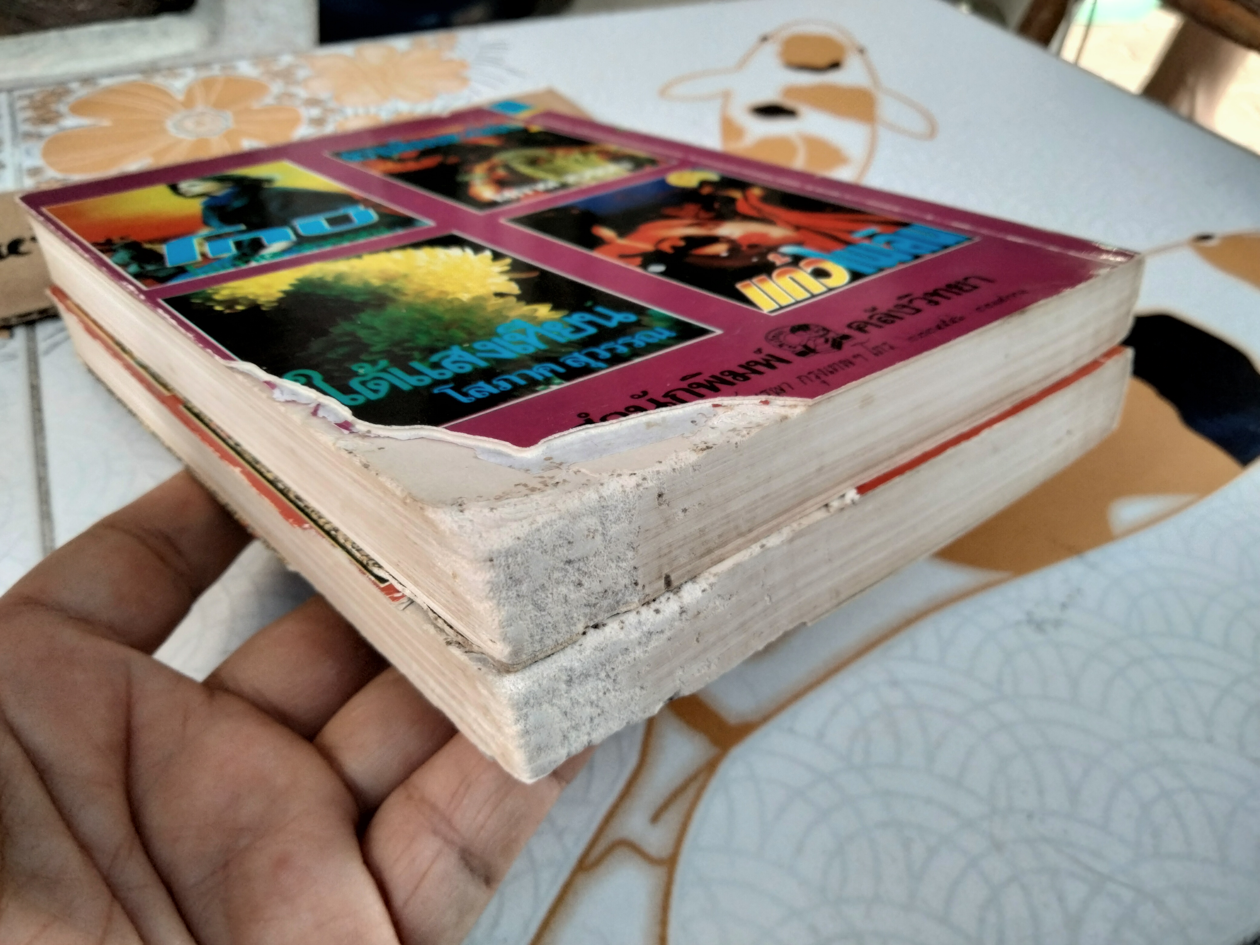 ญาติกา (2 เล่มจบ) - โสภาค สุวรรณ **ตำหนิโดนปลวกกิน **สินค้าหมด**