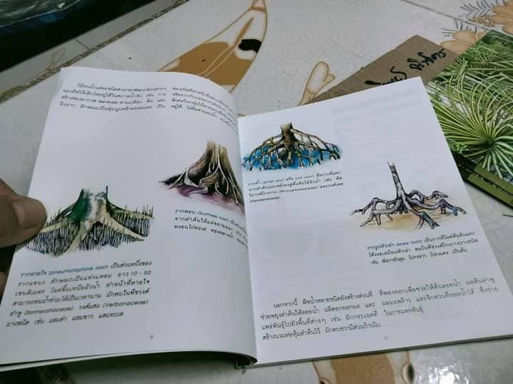 ไม้ทนน้ำ - คู่มือคนรักต้นไม้ชุดที่ 6 โดย อุไร จิรมงคลการ