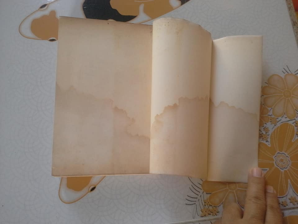 Lu Xun a Biography by Wang Shiqing (มีคราบน้ำด้านหลัง)