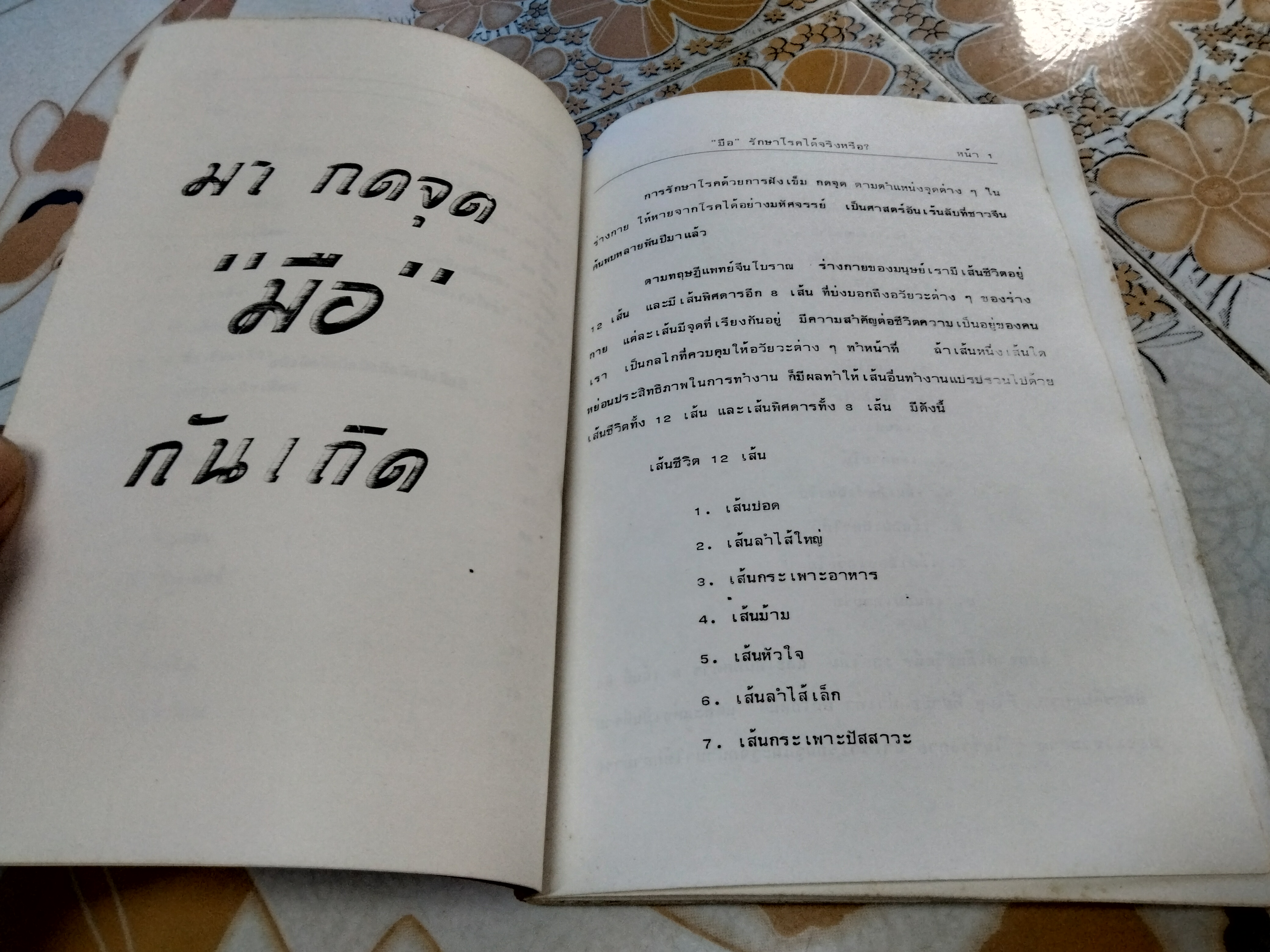มือ - รักษาโรคได้จริงหรือ? เจือจันทน์ อัชพรรณ - ถอดความ พนิดา ไตรสารศรี - ผู้จัดพิมพ์ พิมพ์ครั้งที่ 2/2529 (หนังสือทำมือ) **สินค้าหมด**
