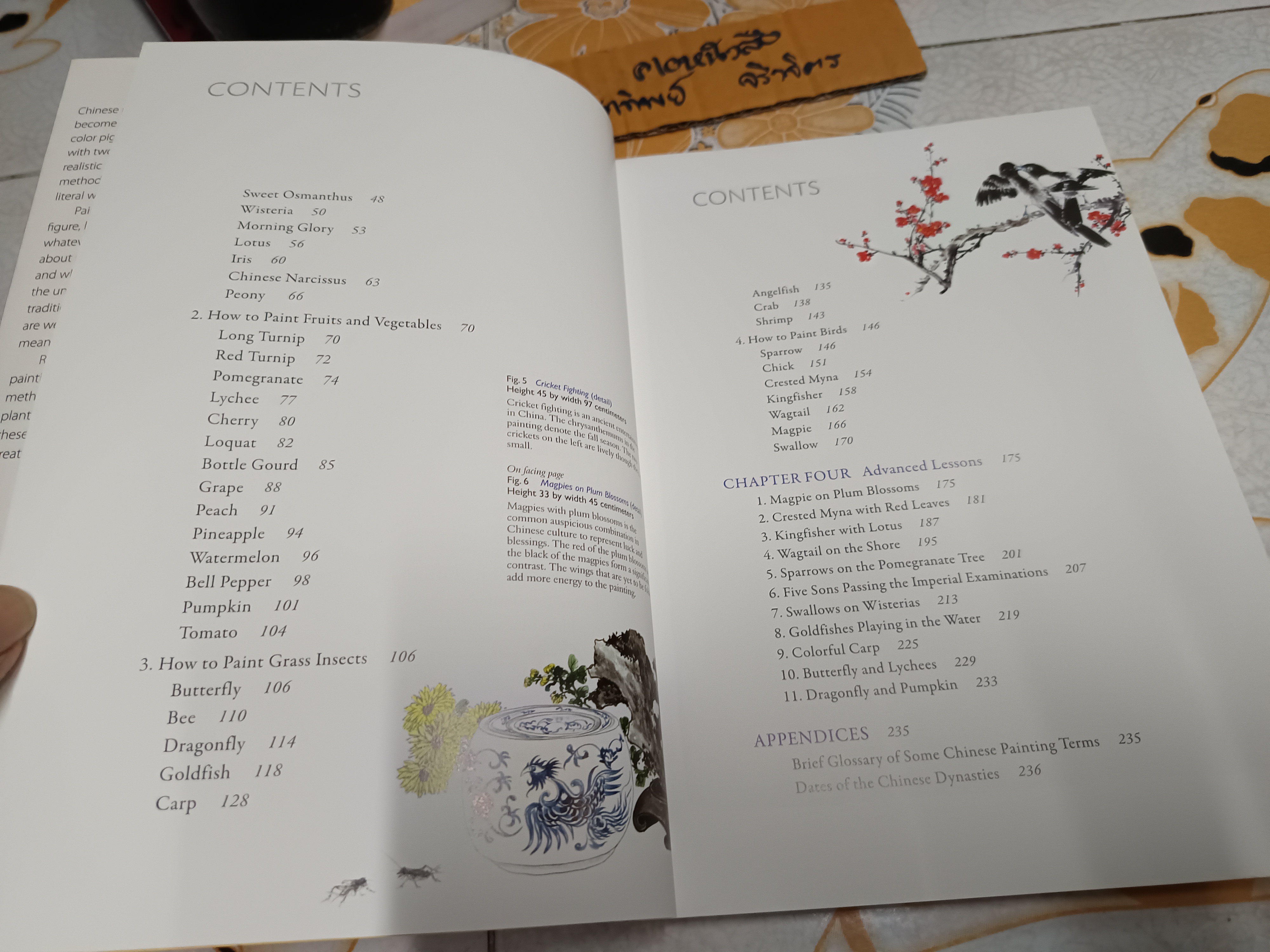 Chinese Brush Painting : A Beginner's Step-by-Step Guide by Mei Ruo