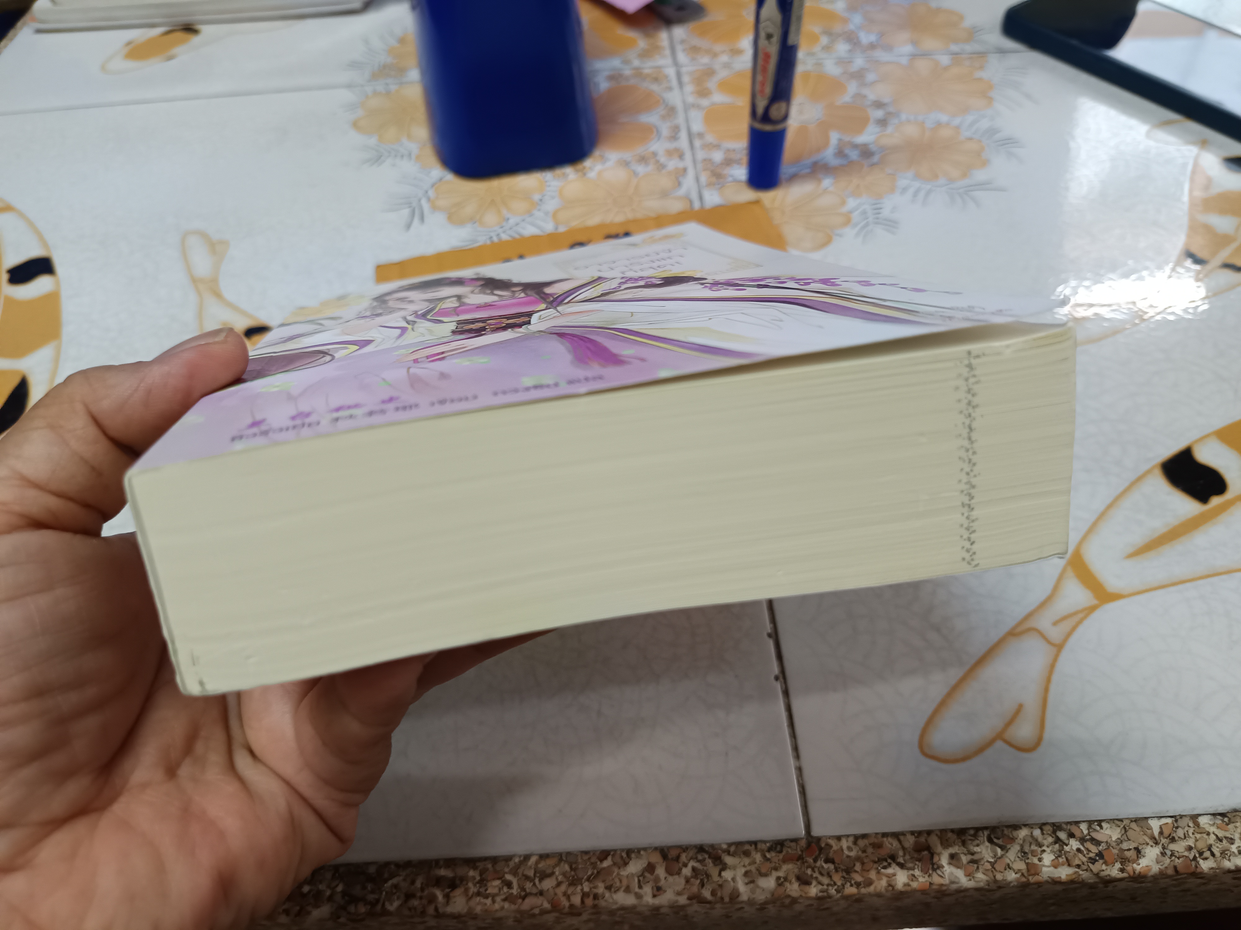 อาจารย์ข้าน่ารังแกที่สุด (เล่มเดียวจบ) ผู้แต่ง ชิวรั่วเยีย ผู้แปล กวงซิน สำนักพิมพ์ แจ่มใส (มากกว่ารัก)