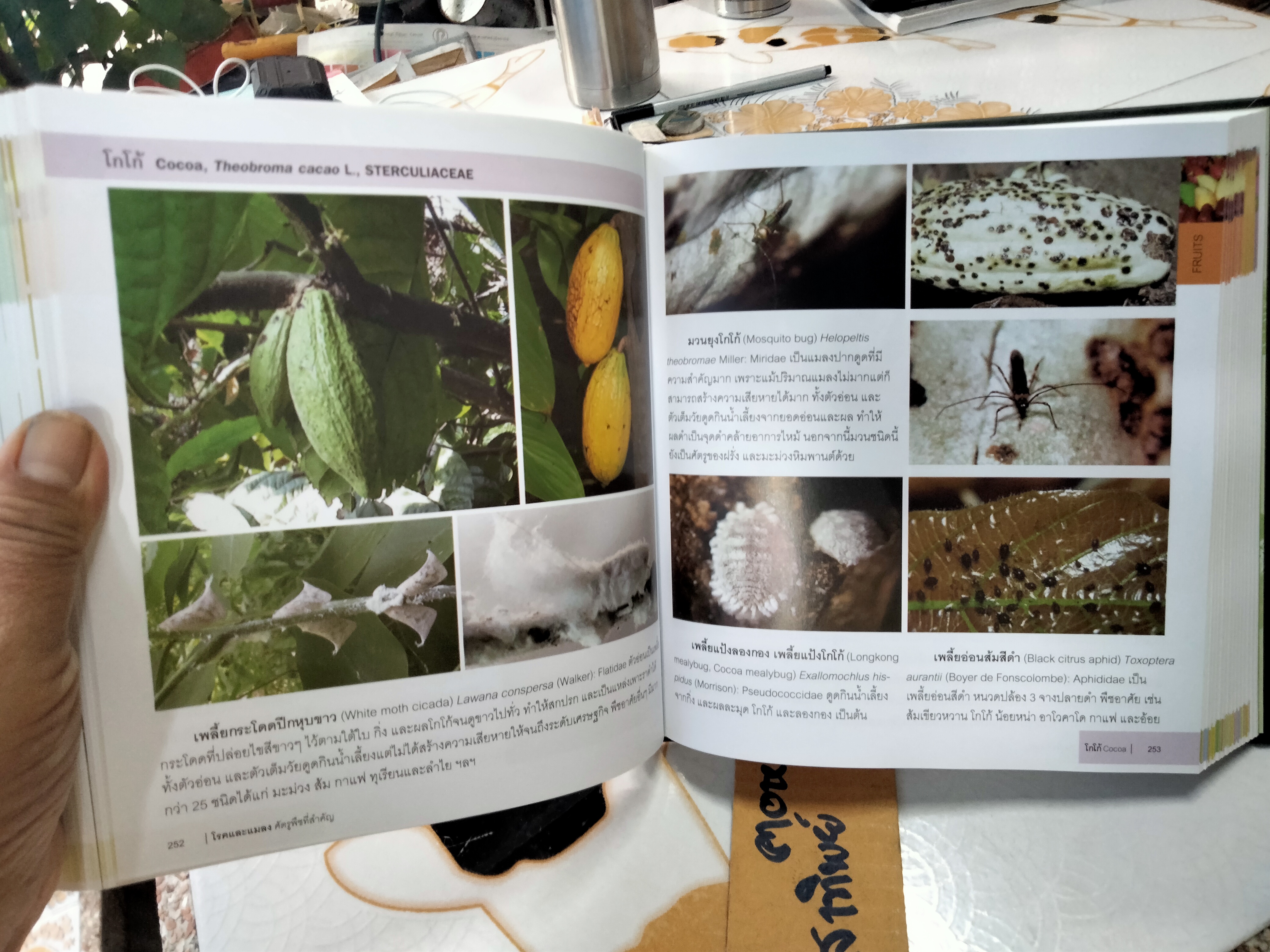 หนังสือ โรคและแมลง ศัตรูพืชที่สำคัญ - พิสุทธิ์ เอกอำนวย PLANT DISEASES AND INSECT PESTS OF ECONOMIC IMPORTANCE (พิมพ์ 2/2553) **สินค้าหมด*"