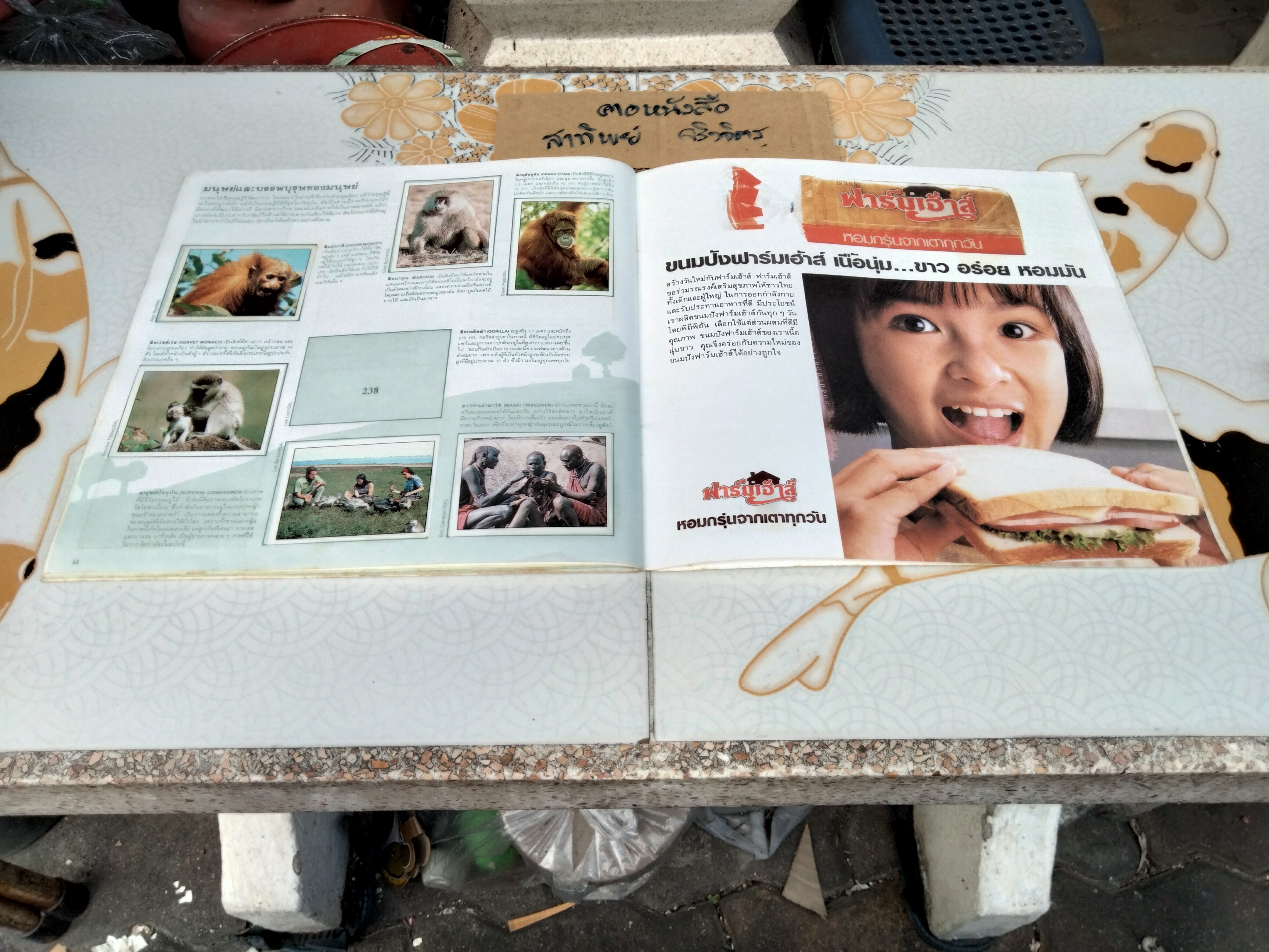 สมุดสะสมสติกเกอร์ ชีวิตสัตว์โลก (แปะสติกเกอร์ 178 รูป จากทั้งหมด 240 รูป) **สินค้าหมด**