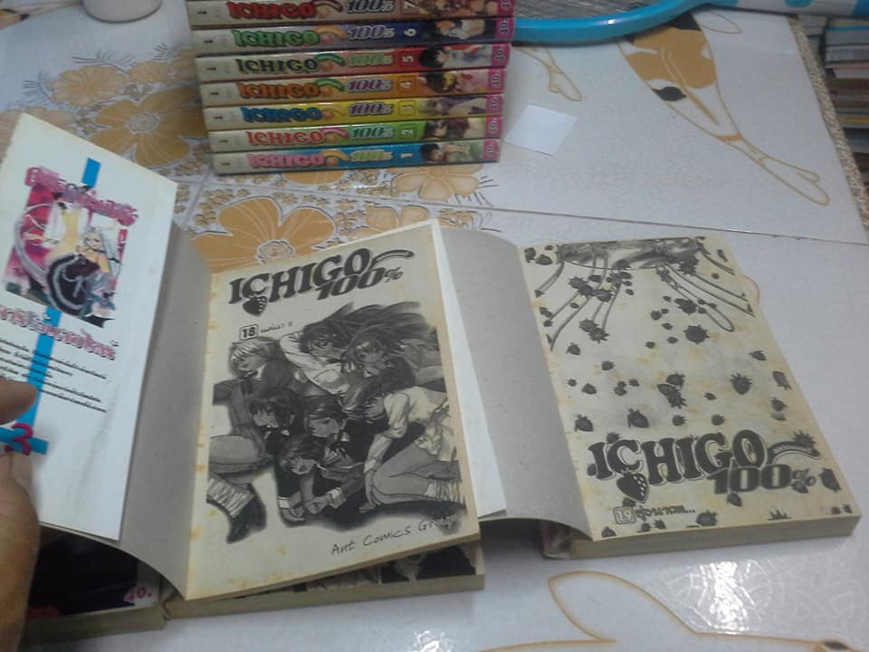 การ์ตูน ICHIGO 100 % - 19 เล่มจบ (สนพ.ANT)