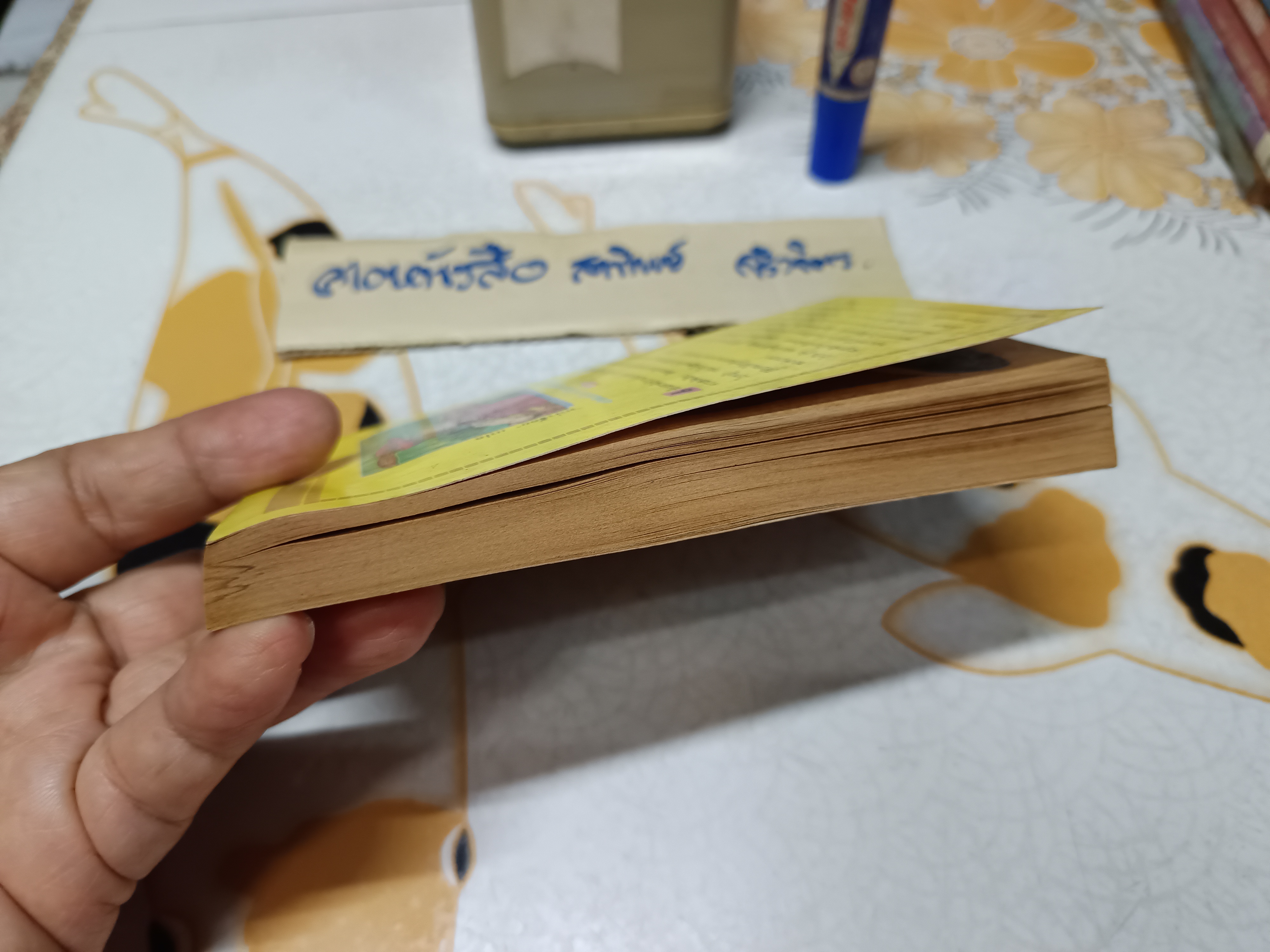 การผจญภัยของ โรบิน ฮู้ด (Robin Hood) โฮเวิร์ด พายล์ เขียน / หน่าจ้อย แปล #ชุดวรรณกรรมอมตะสำหรับเด็ก สำนักพิมพ์เม็ดทราย