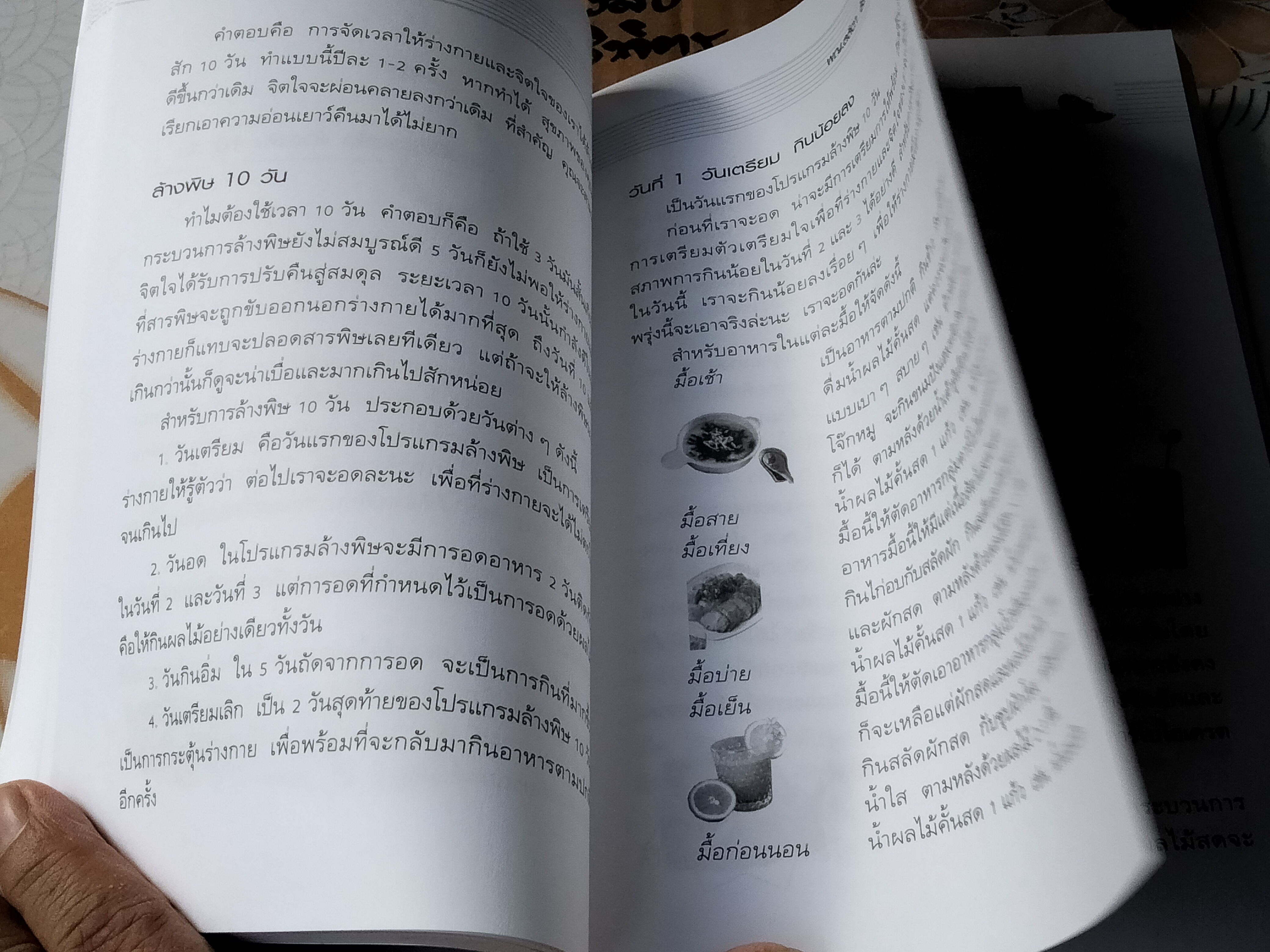 ล้างพิษ 10 วัน ตำรับบัลวี ผู้เขียน พญ. ลลิตา ธีระสิริ **สินค้าหมด**