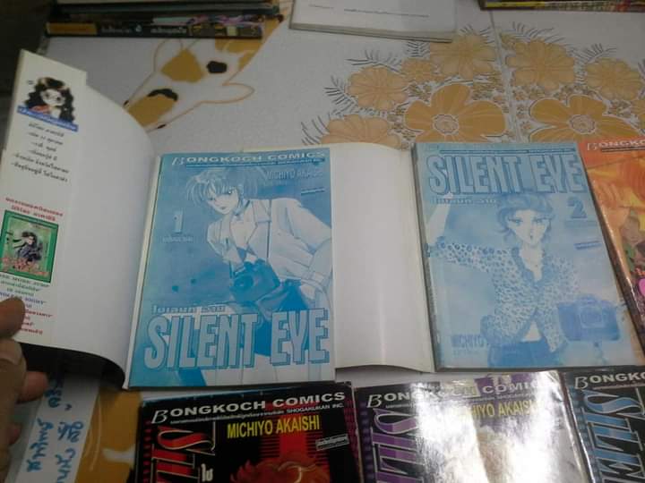 SILENT EYE ไซเลนท์ อาย (6 เล่มจบ) MICHIYO AKAISHI -สภาพบ้านปนเช่า **สินค้าหมด**