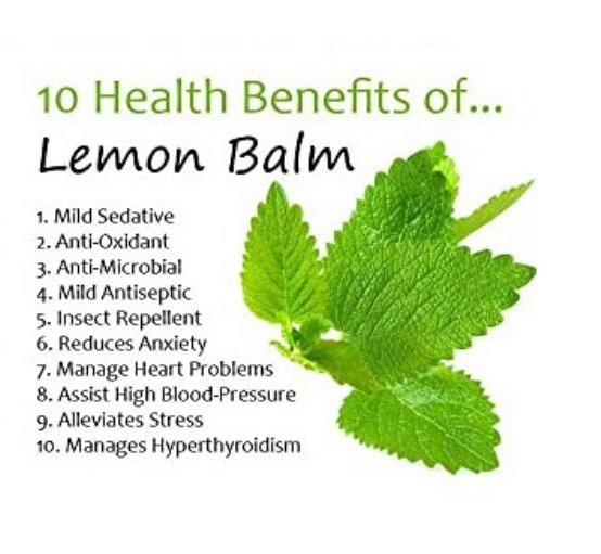 เลมอนบาล์ม Lemon Balm 475 mg 100 VegCaps (Solaray®)