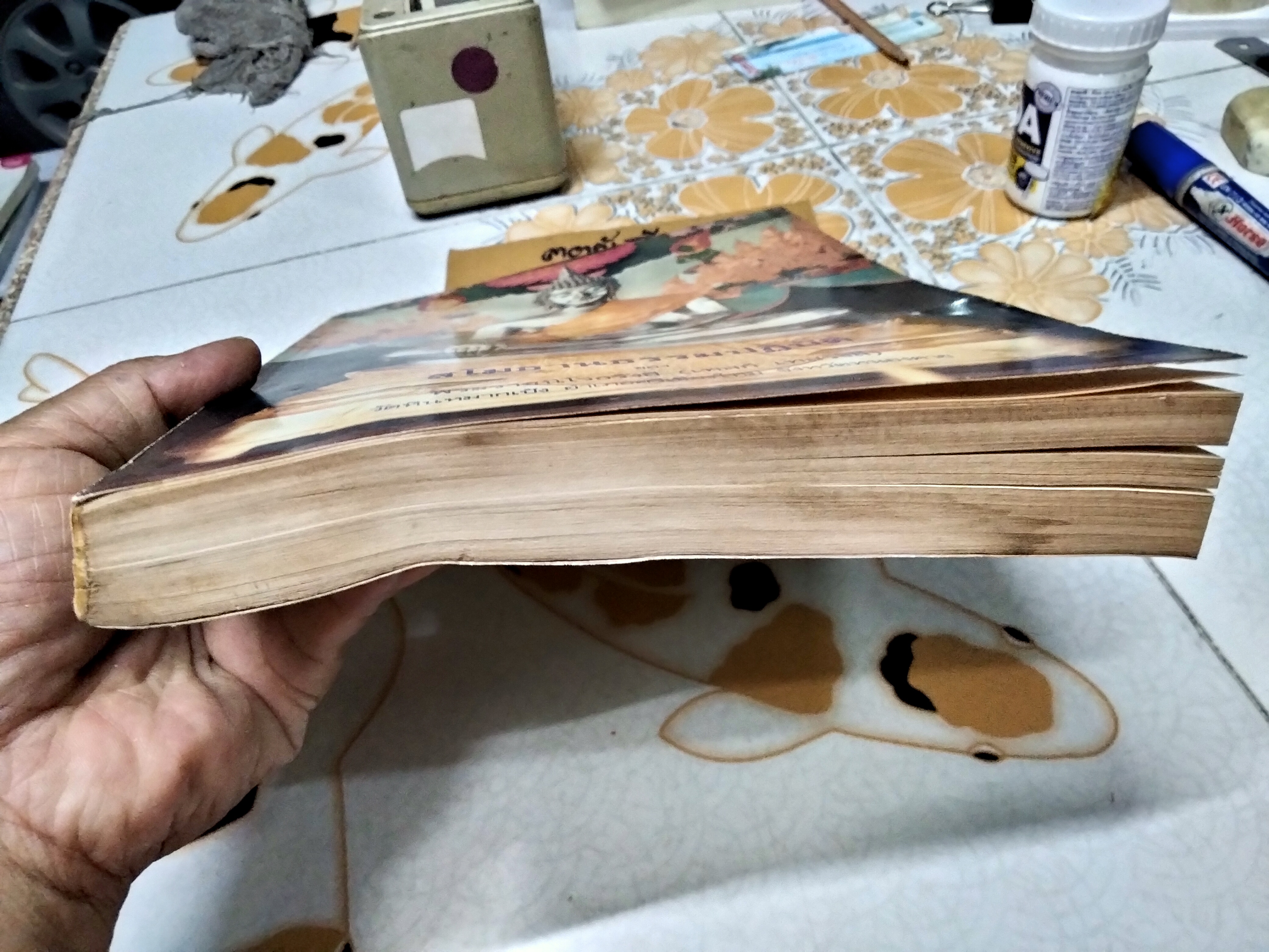 สโมธานธรรมปฏิบัติ ของ พระราชนิโรธรังสี (เทสก์ เทสรังสี) **สินค้าหมด**