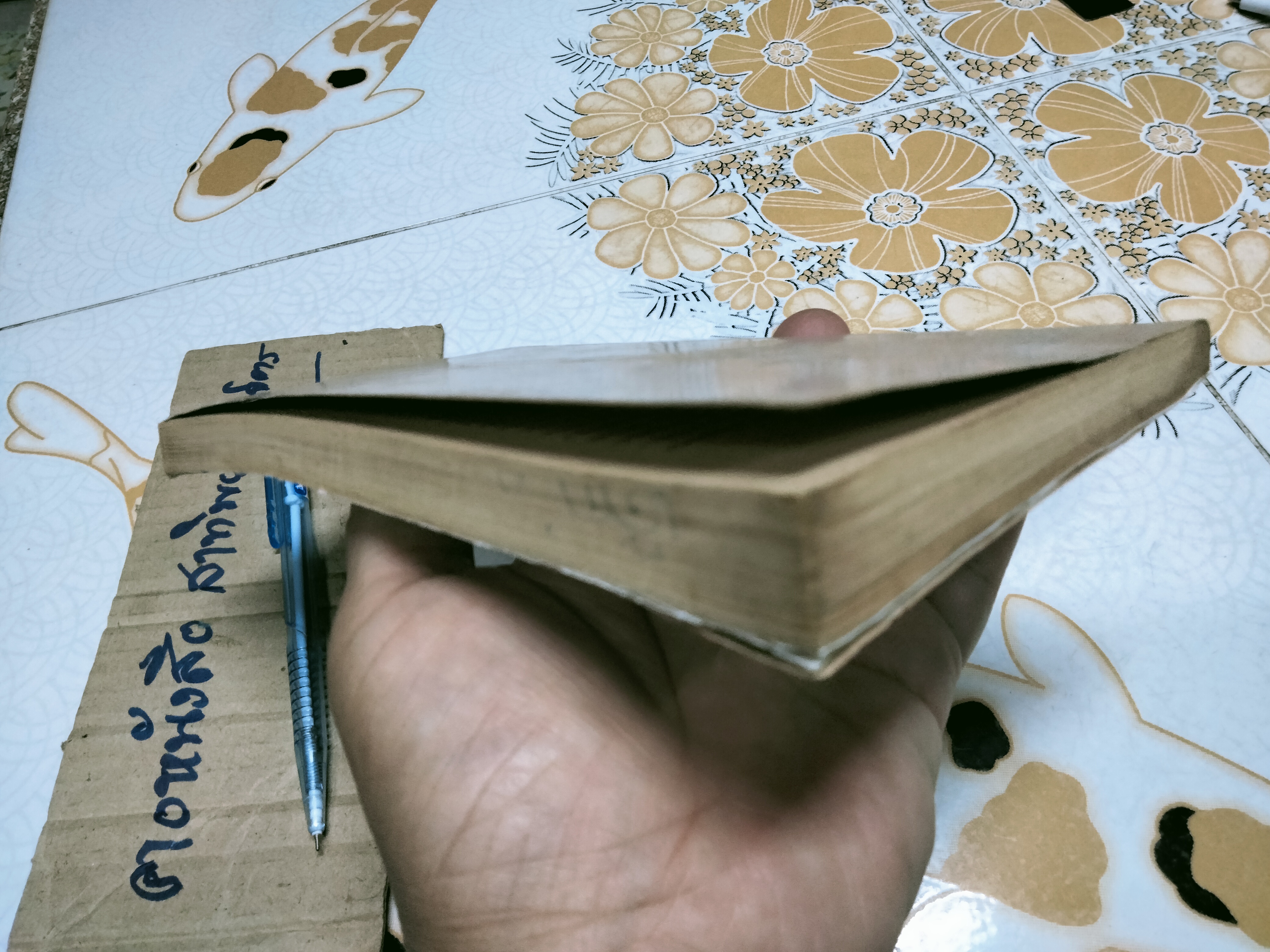 หนูน้อยนิโคลา Le Petit Nicola **สภาพพอใช้ (สินค้าหมด)