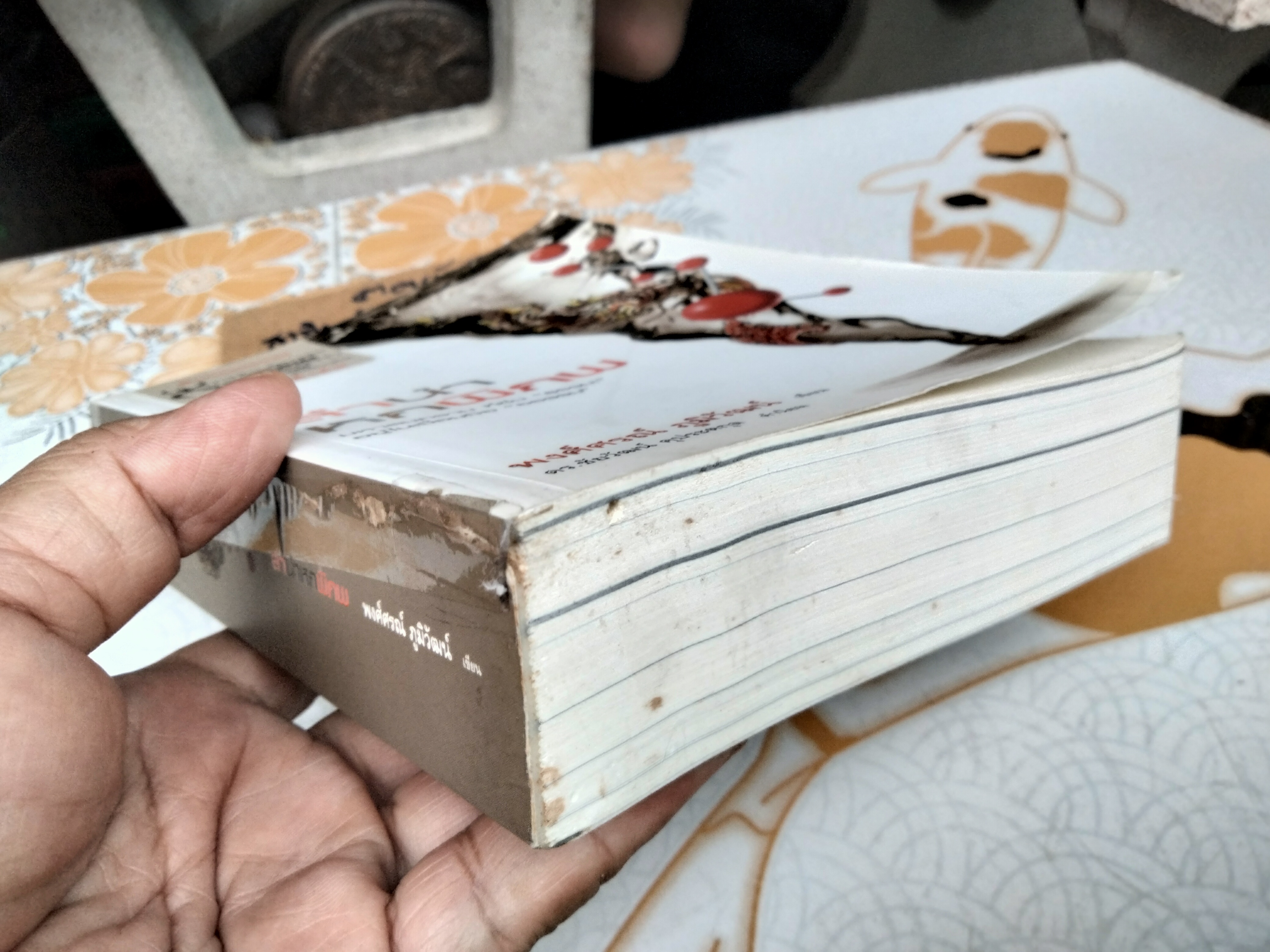 ลำนำหกพิภพ โดย พงศ์ศรณ์ ภูมิวัฒน์ (พิมพ์ครั้งแรก 2551) หนังสือมีตำหนิ **สินค้าหมด**