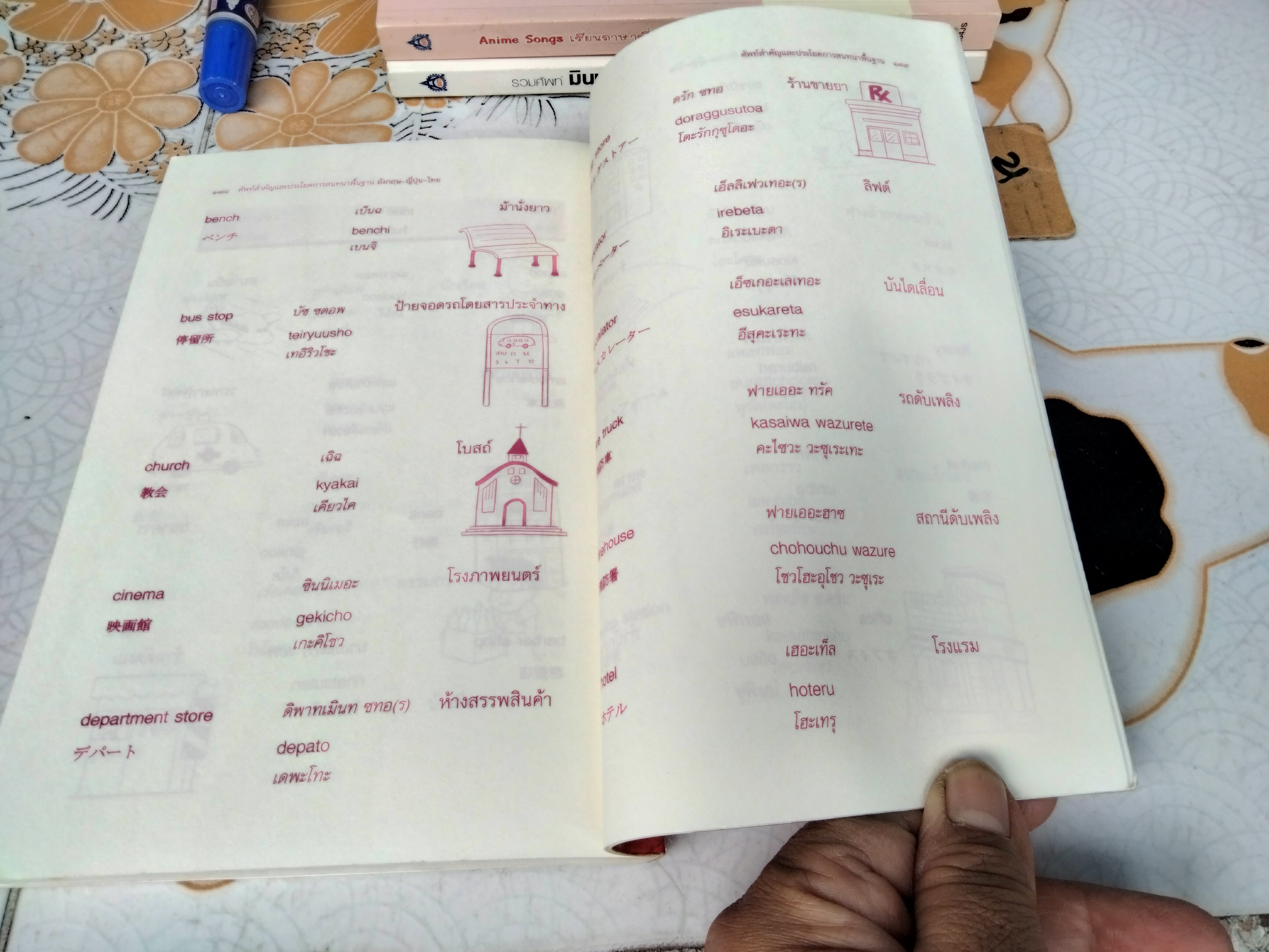 ศัพท์สำคัญและประโยคการสนทนาพื้นฐาน อังกฤษ ญี่ปุ่น ไทย