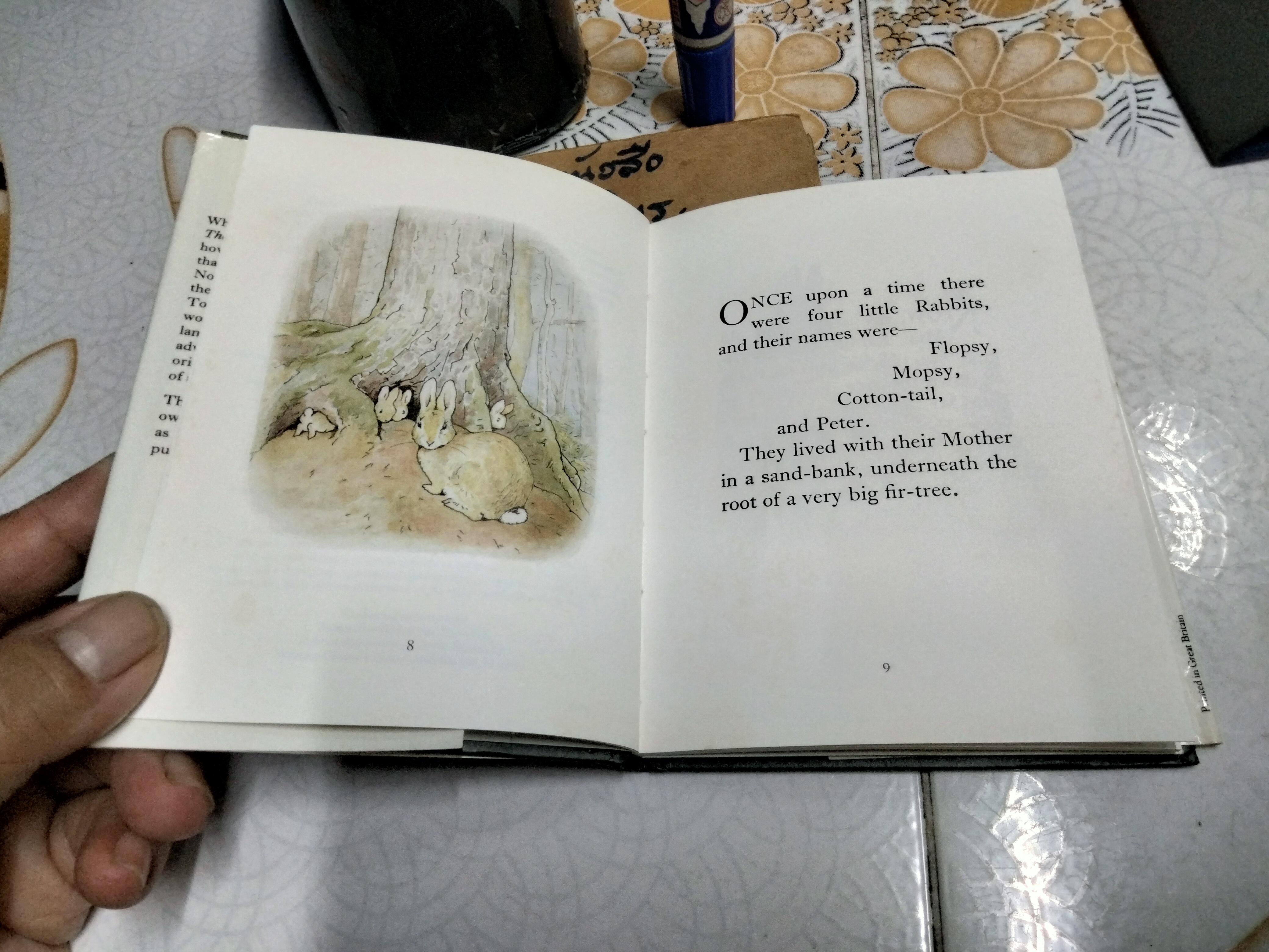 THE TALE OF PETER RABBIT BY BEATRIX POTTER (ฉบับภาษาอังกฤษ) F. WARNE & CO., พิมพ์ 1995 **สินค้าหมด**