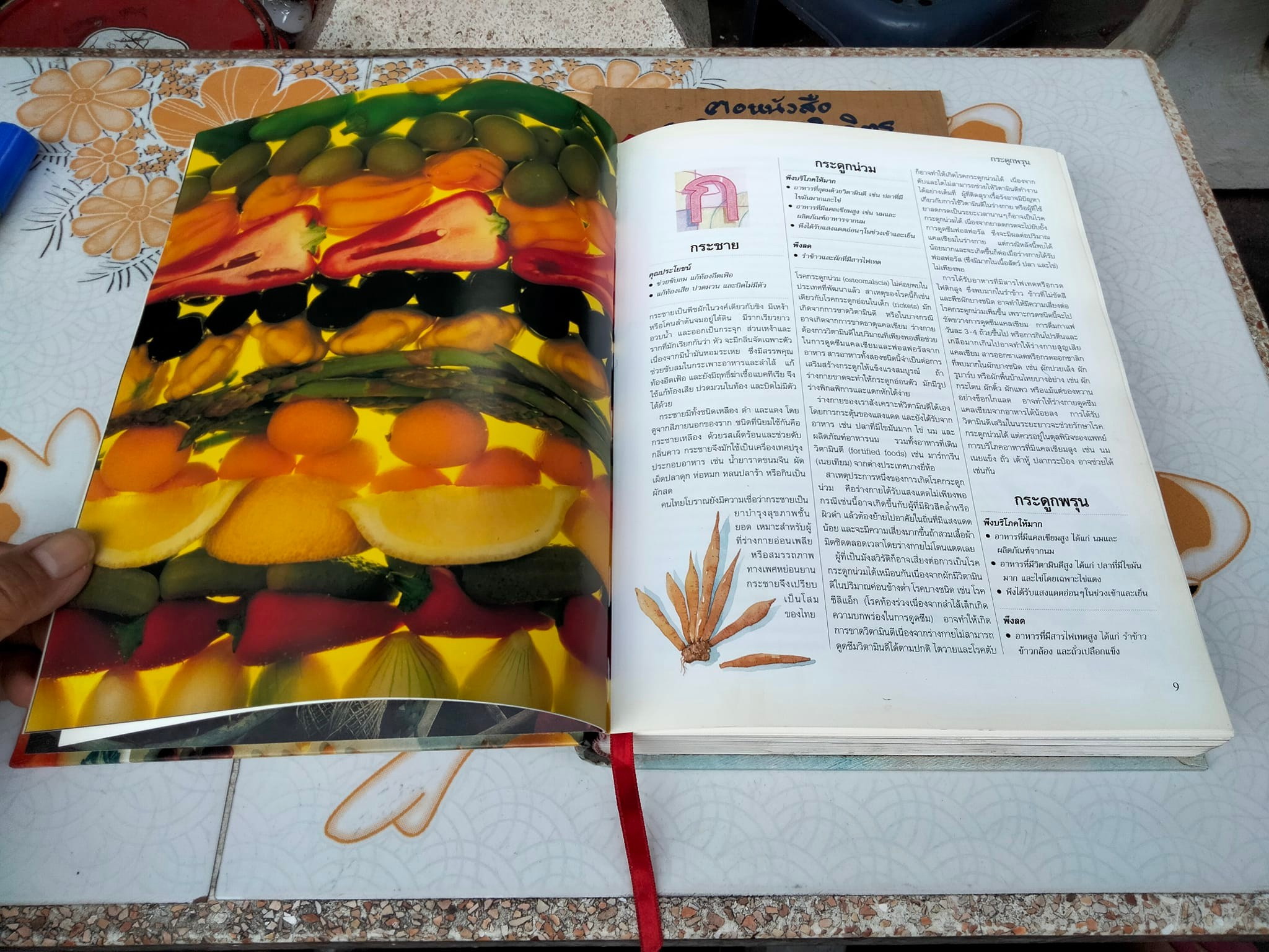 รู้คุณรู้โทษโภชนาการ" คู่มือโภชนบำบัดและป้องกัน เรียงลำดับ ก-ฮ เพื่อการบริโภคที่ชาญฉลาด และปลอดโรคภัย