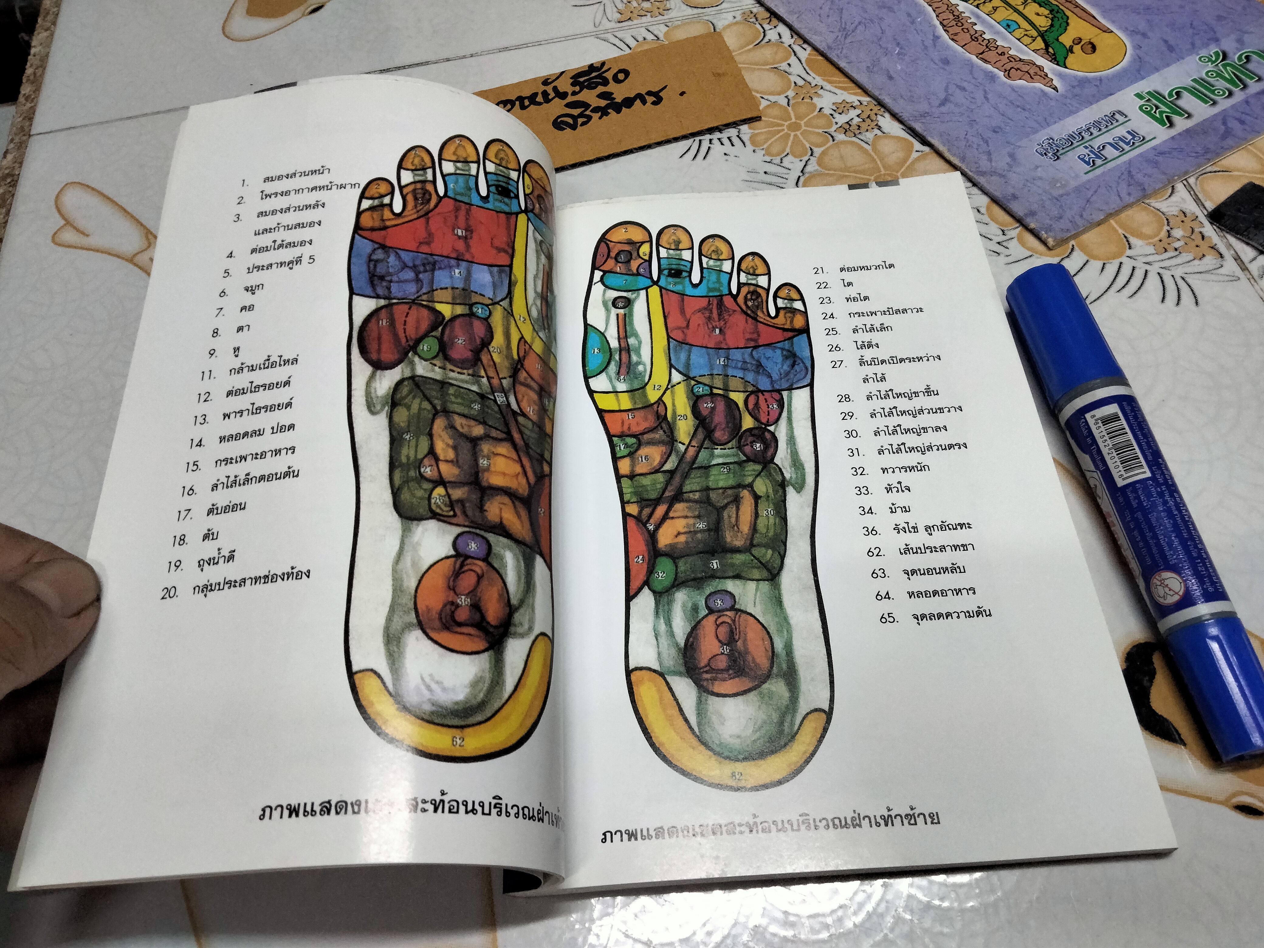 คู่มือหมอประจำครอบครัว ศาสตร์แห่งเท้า โดย สุเชาว์ เพียรเชาว์กุล **สินค้าหมด**