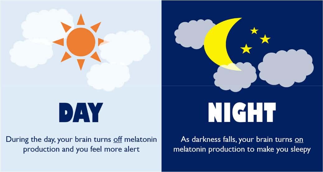 Thompson® Melatonin 3 mg 30 Tablets เมลาโทนิน นอนหลับ หลับสบาย